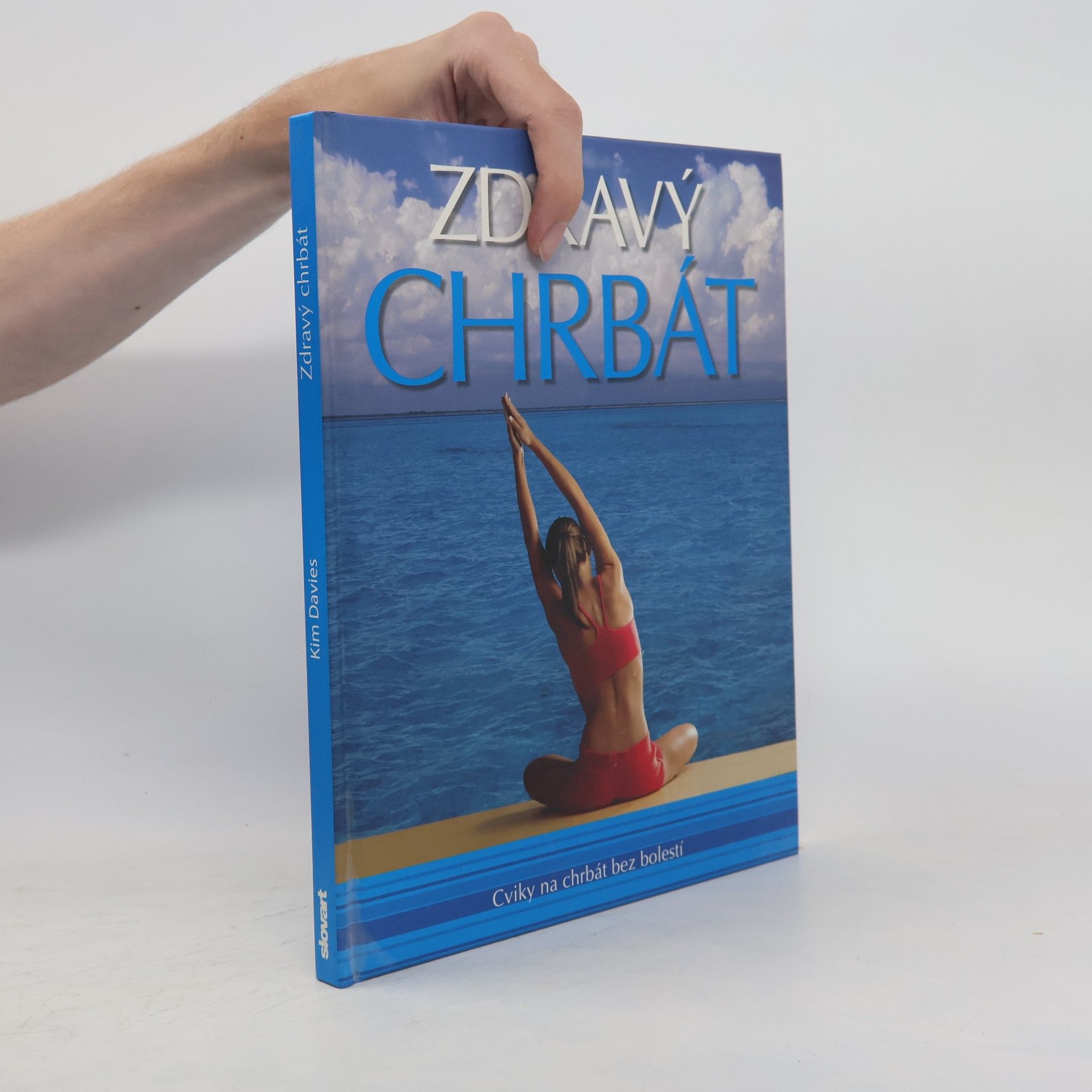 Kim Davies Zdravý chrbát