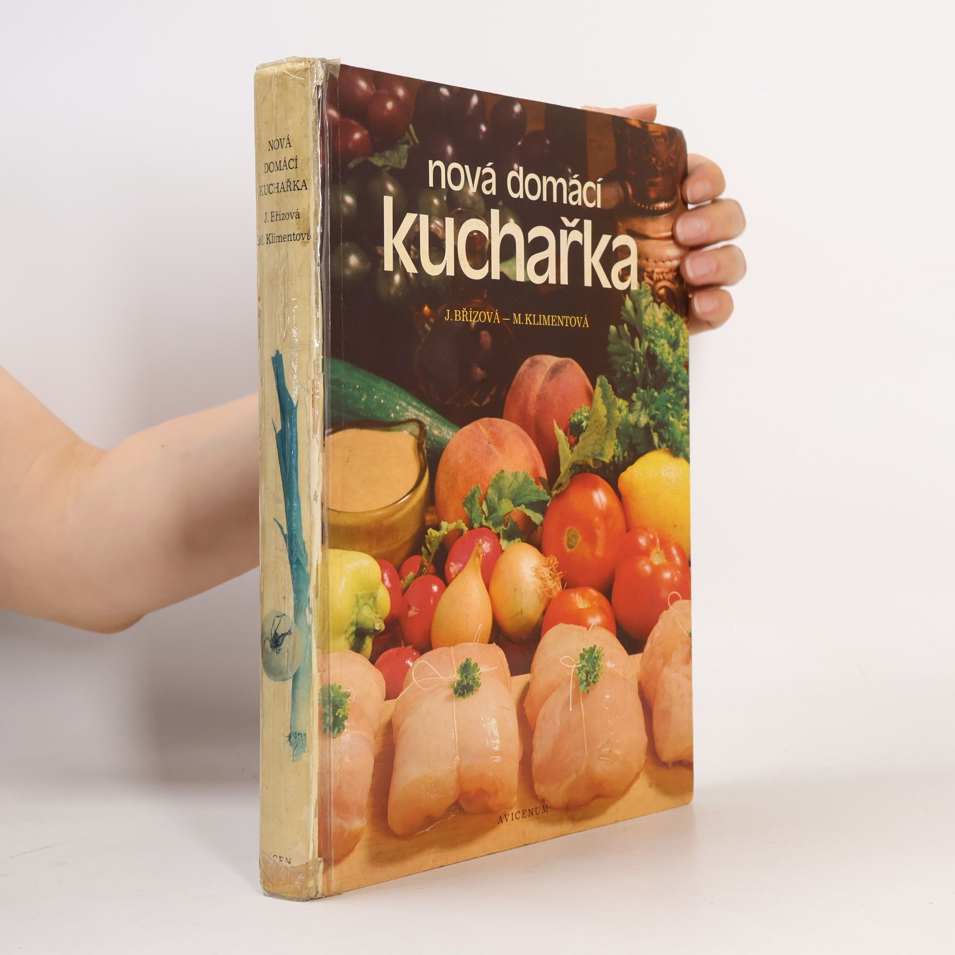 J. Břízová Nová domácí kuchařka