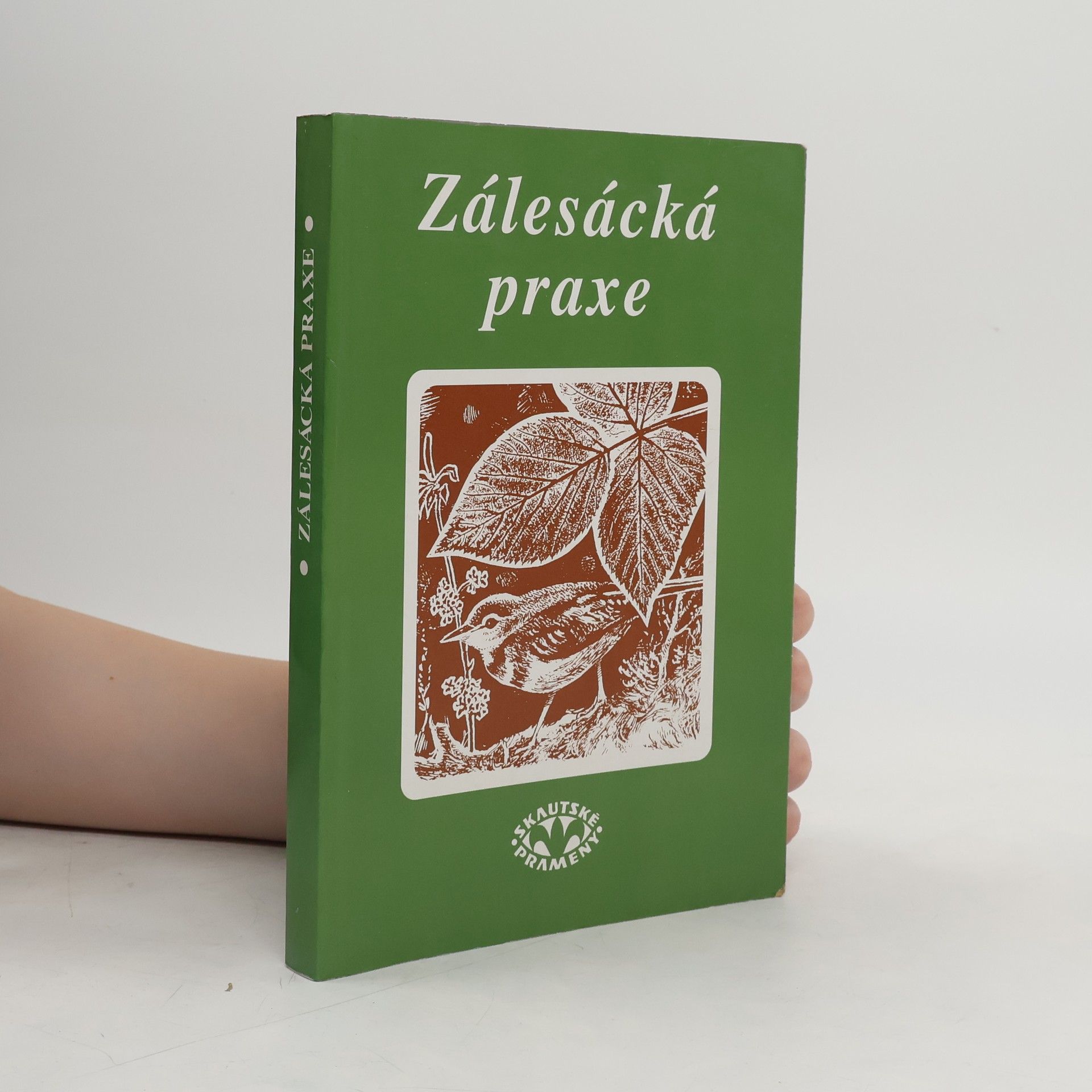 Zálesácká praxe