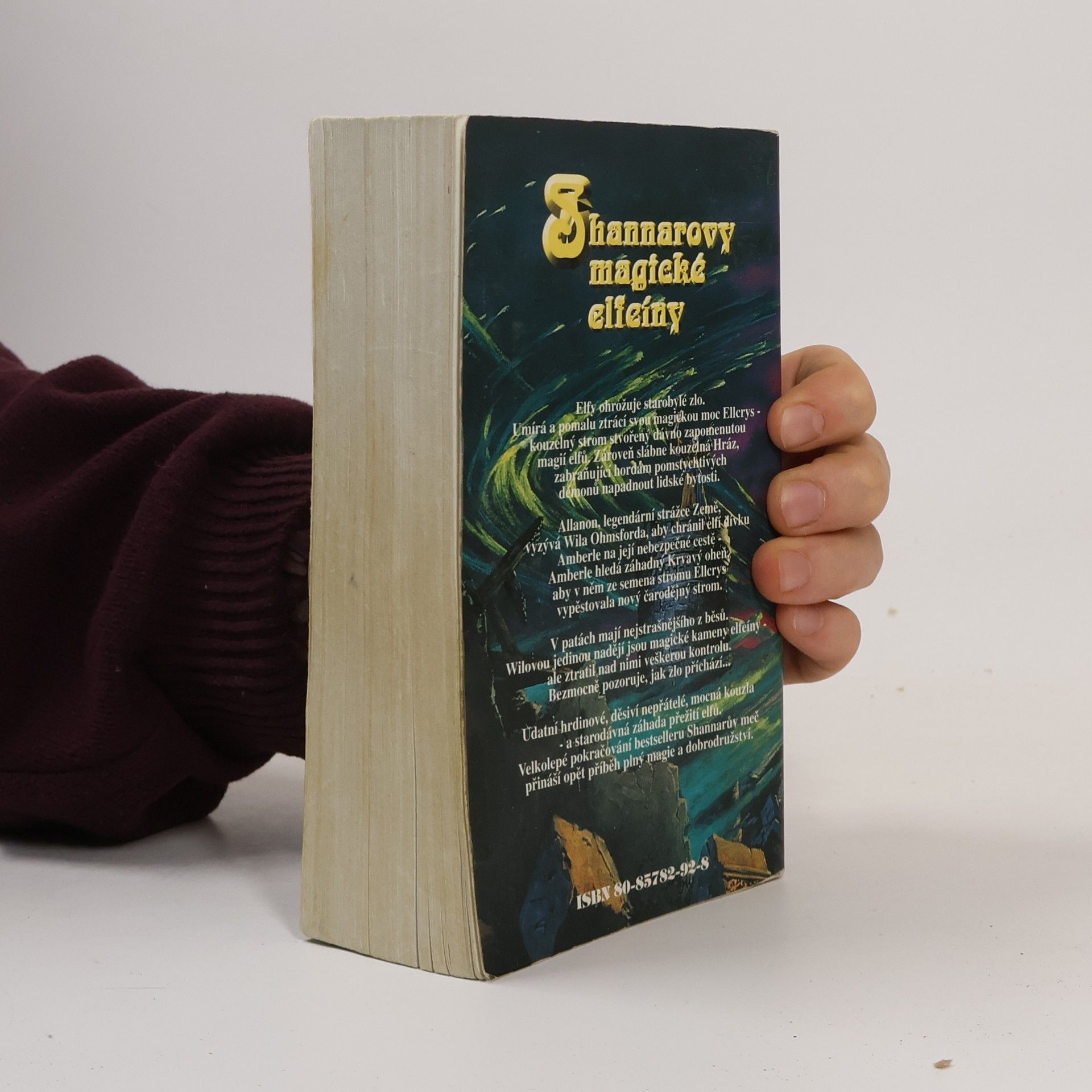 Terry Brooks Shannarovy magické elfeíny