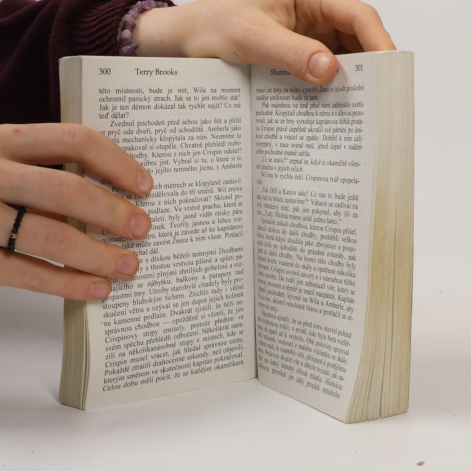 Terry Brooks Shannarovy magické elfeíny