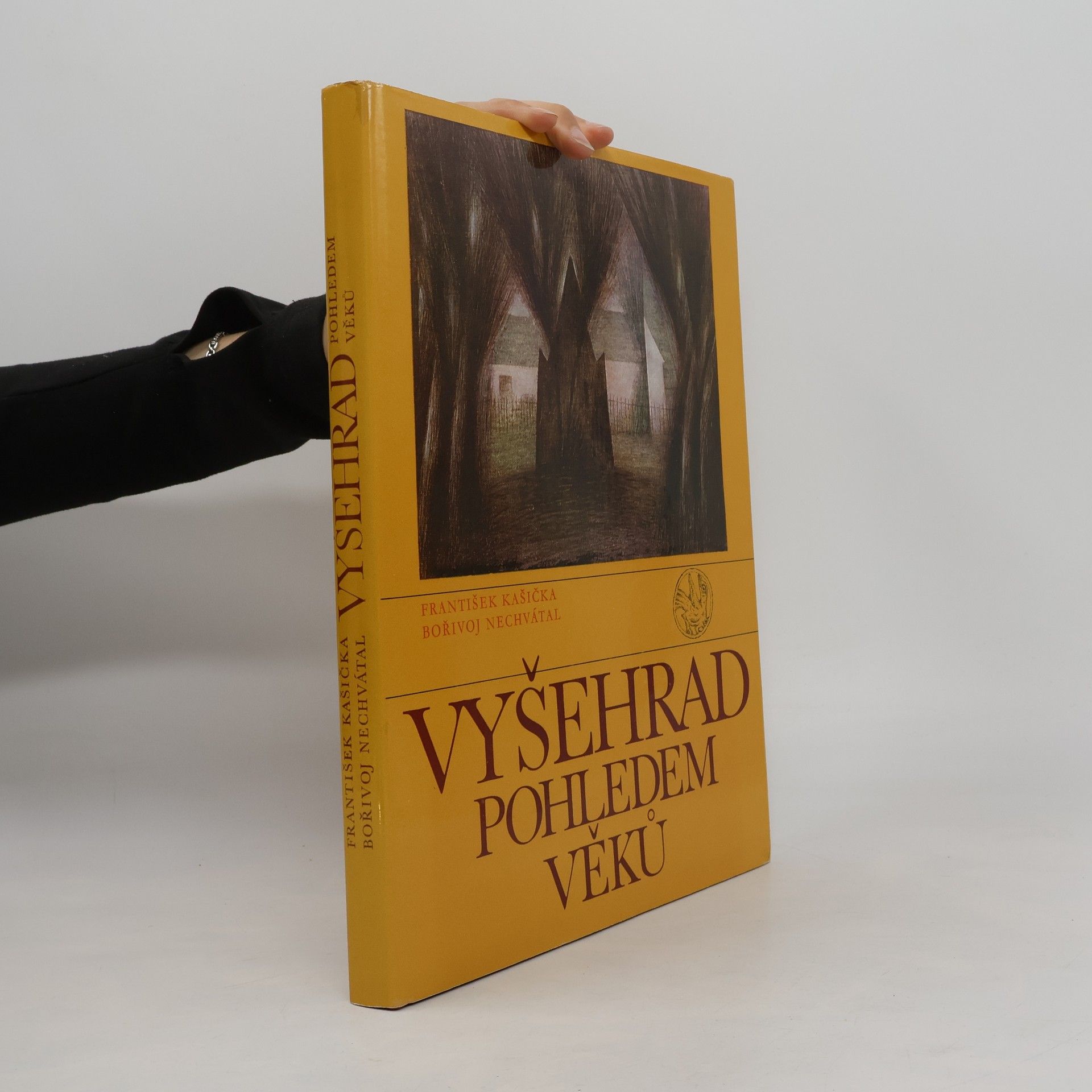 František Kašička Vyšehrad pohledem věků