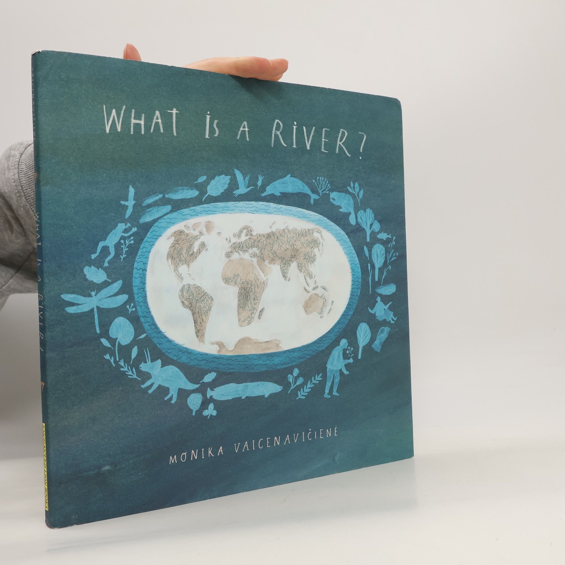 Monika Vaicenavičienė What Is A River?