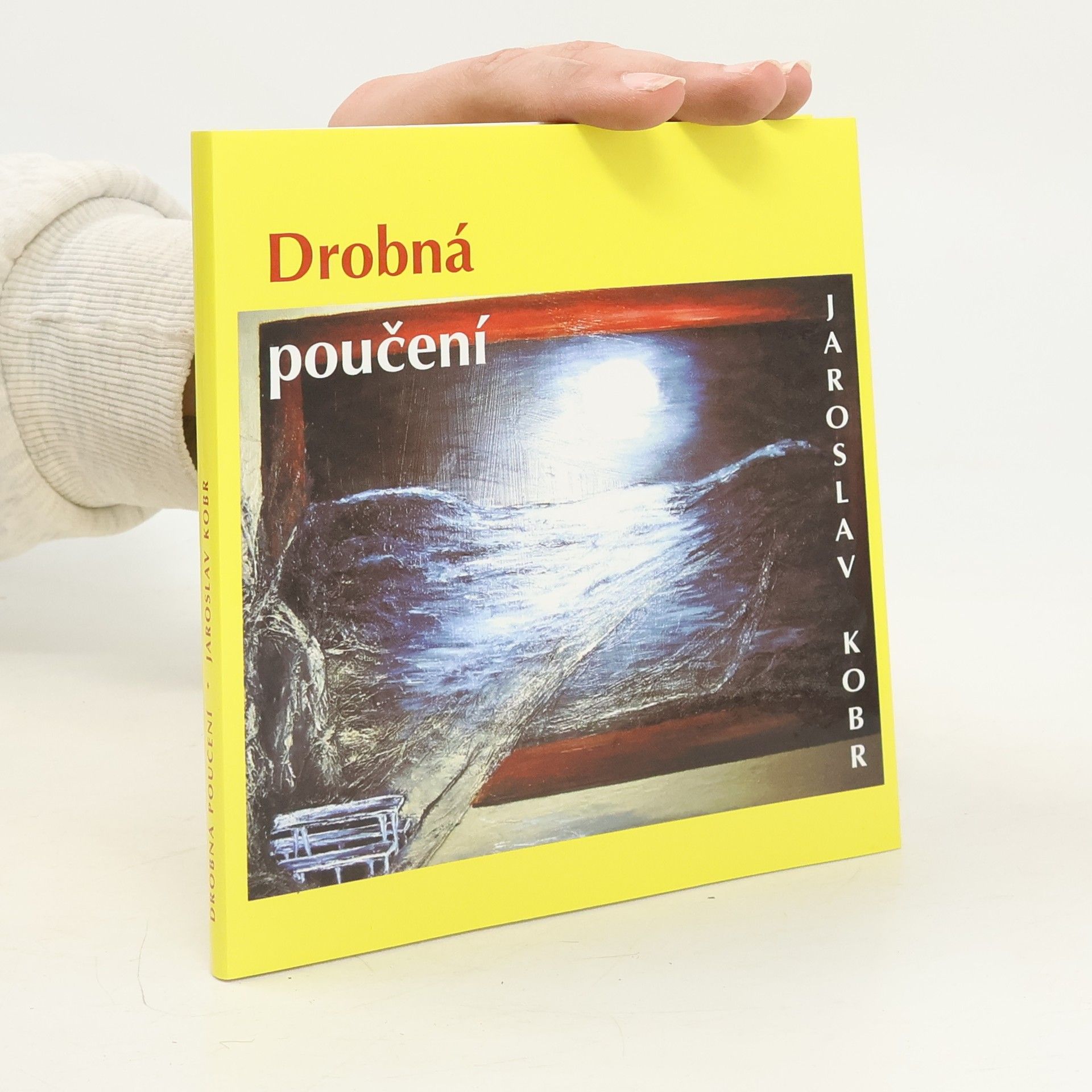 Jaroslav Kobr Drobná poučení