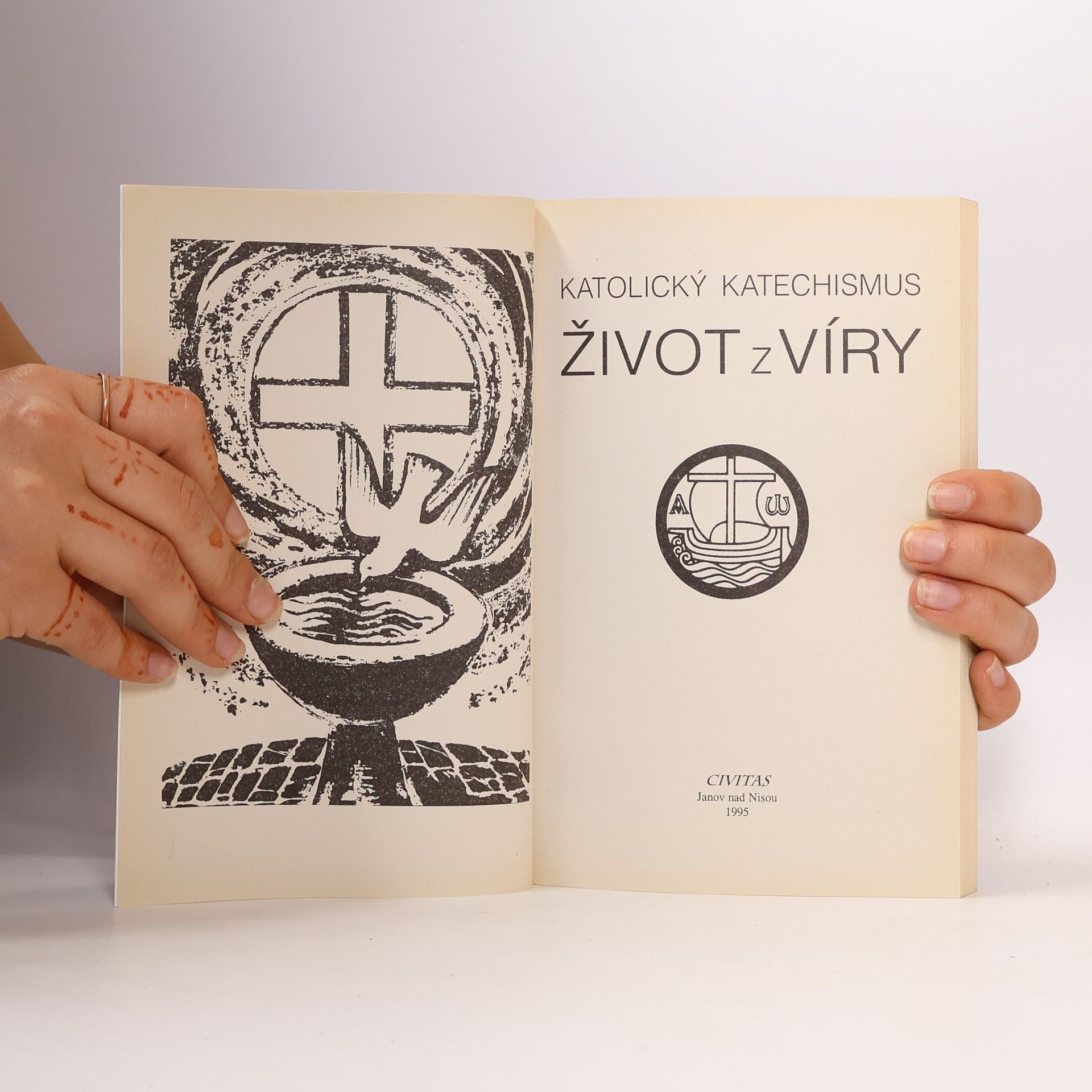 Collectif d'auteurs Katolický katechismus. Život z víry