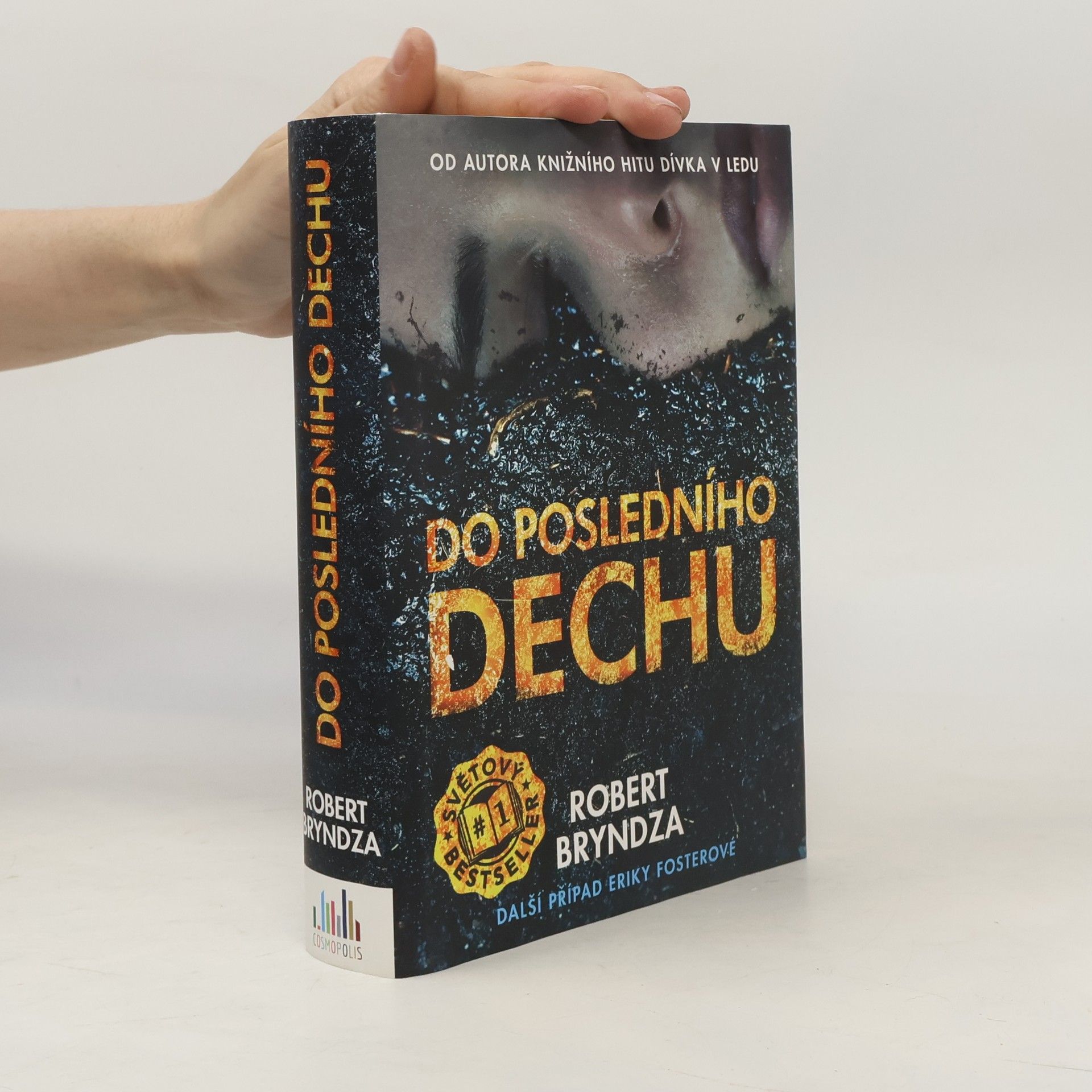 Robert Bryndza Do posledního dechu
