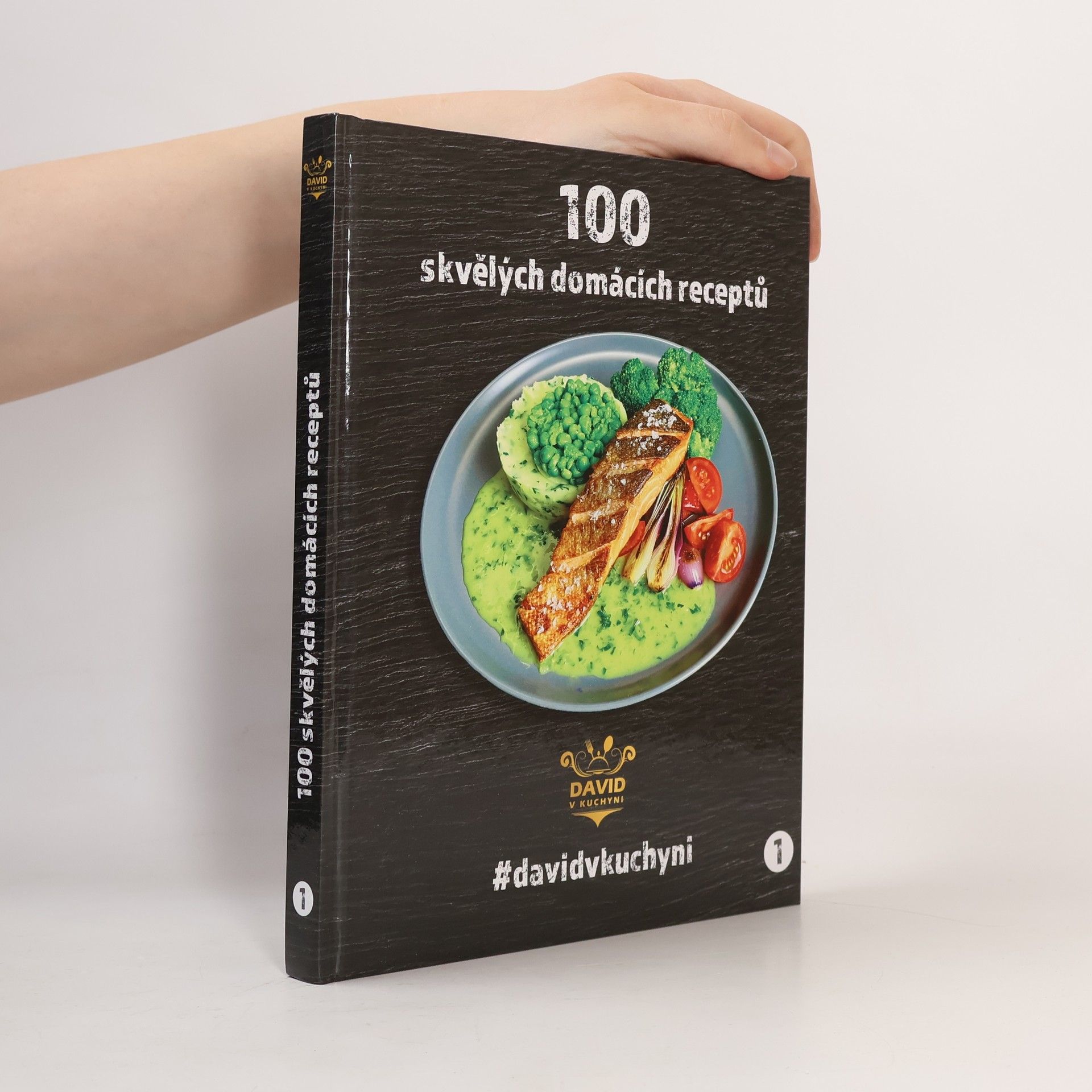 David Vonášek 100 skvělých domácích receptů