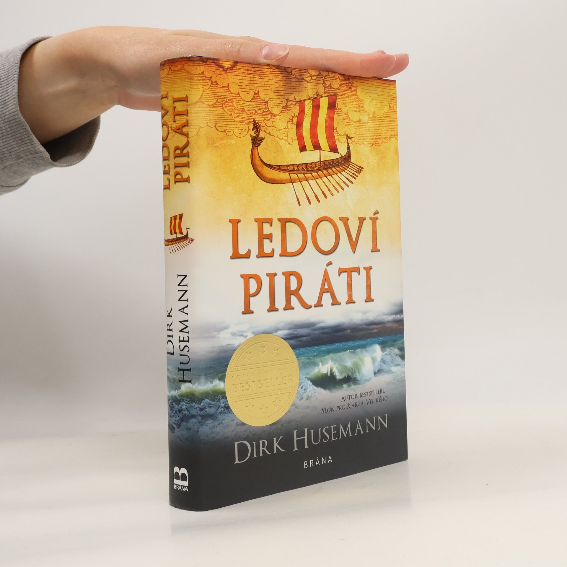 Dirk Husemann Ledoví piráti
