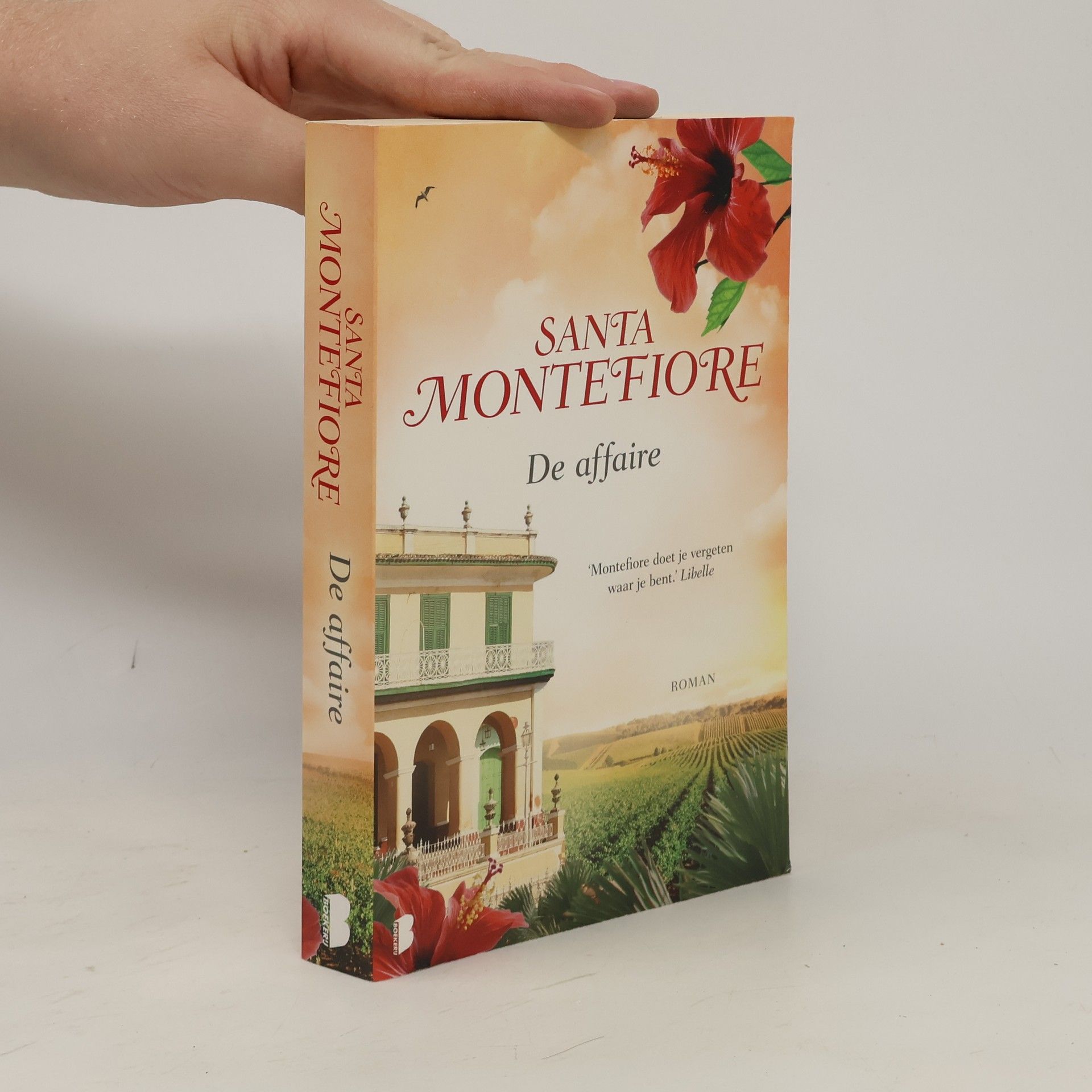 Santa Montefiore De affaire