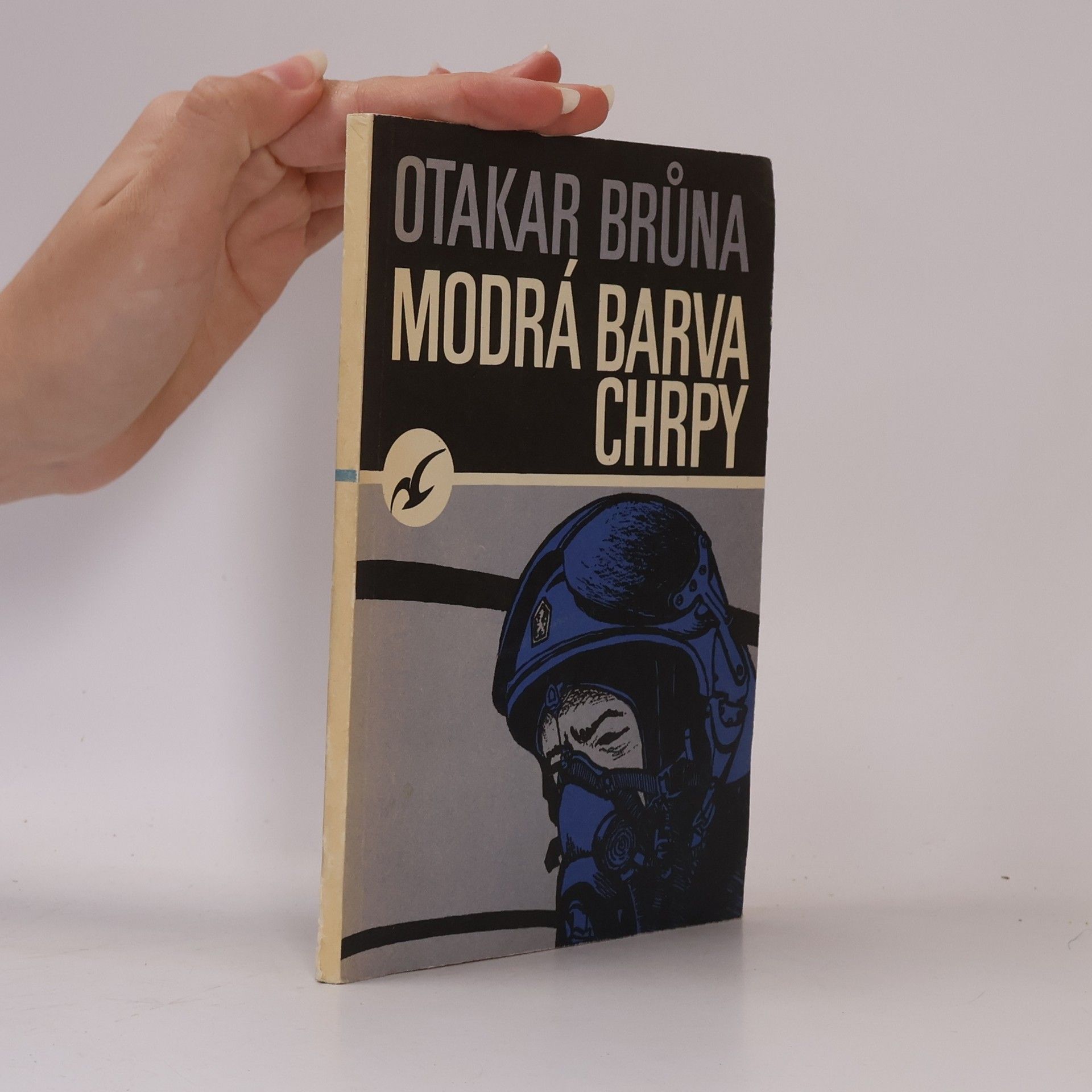 Modrá barva chrpy