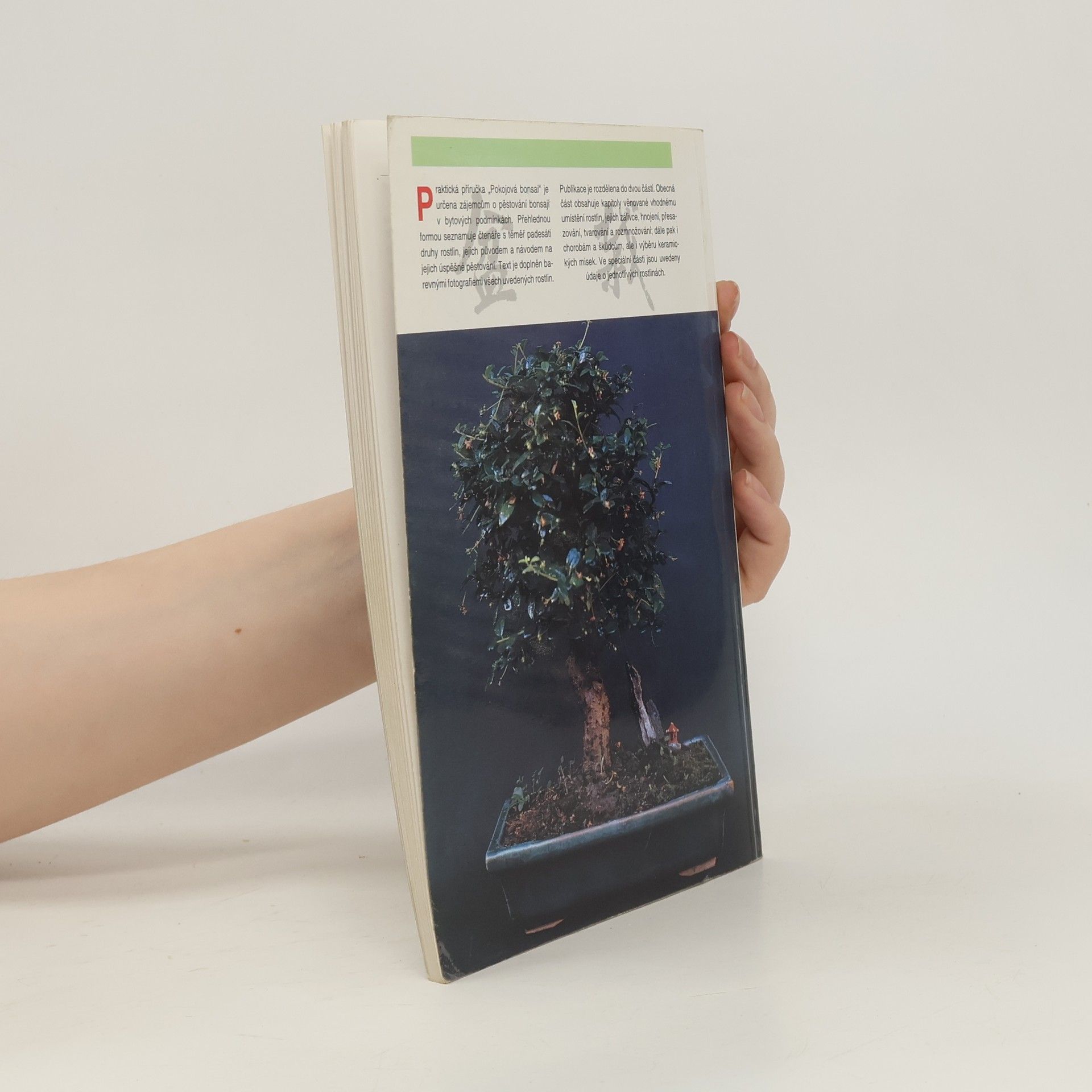 Jindřich Votýpka Pokojová bonsai