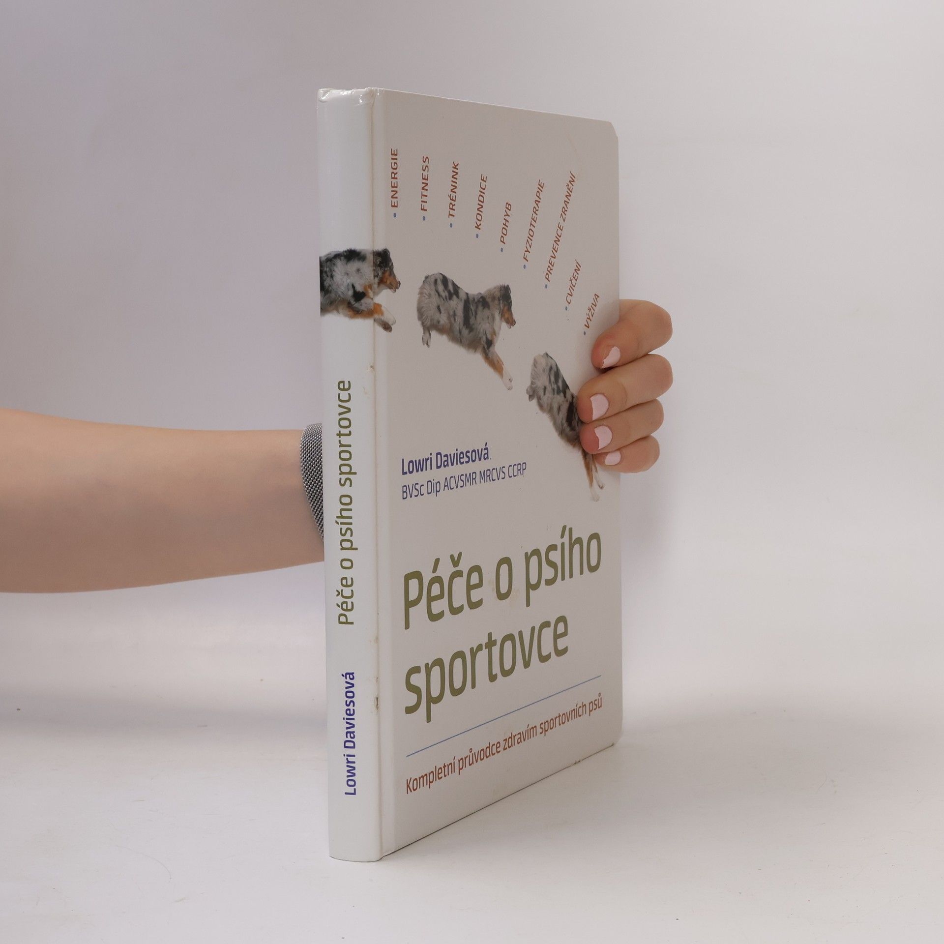 Lowri Davies Péče o psího sportovce