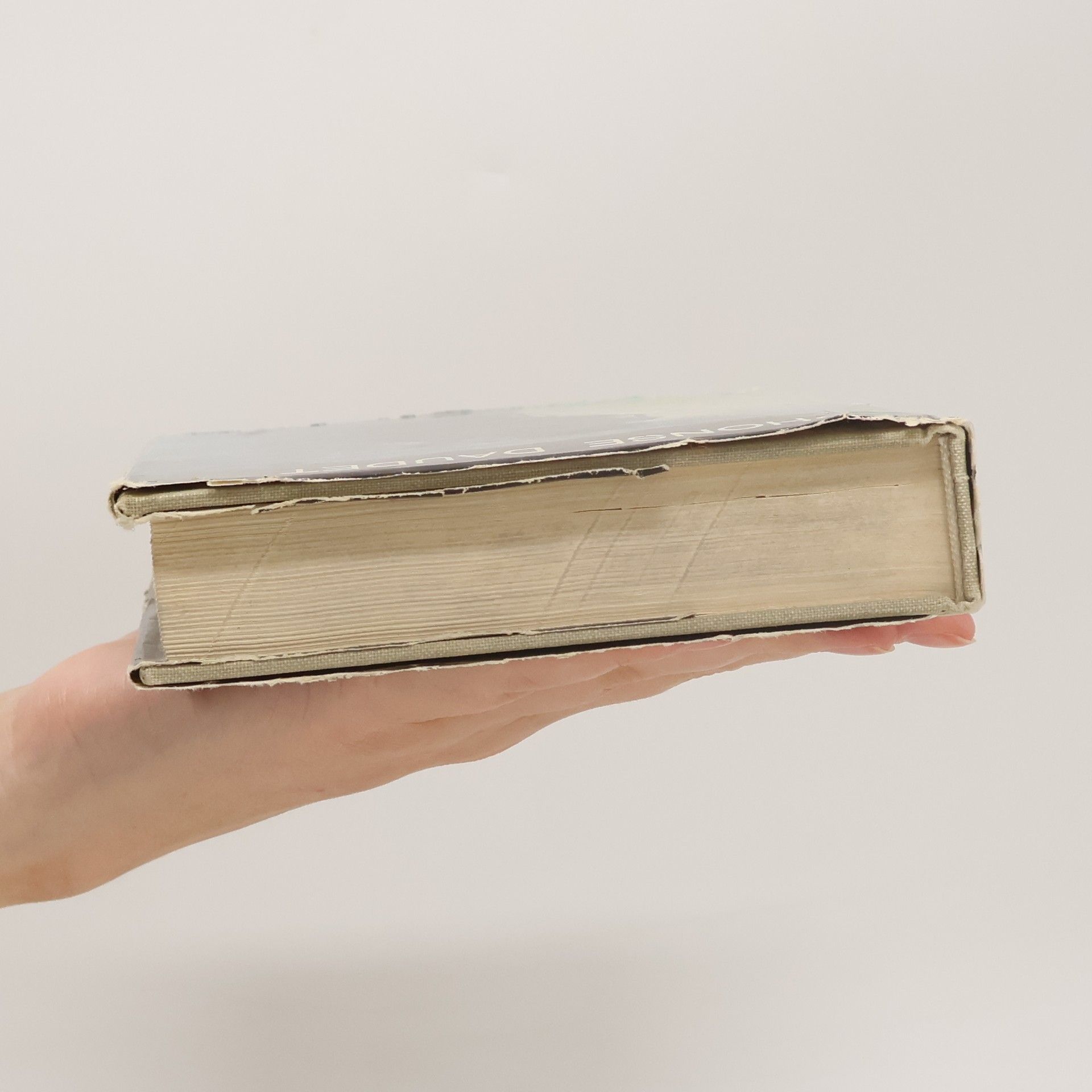 Alphonse Daudet Jack