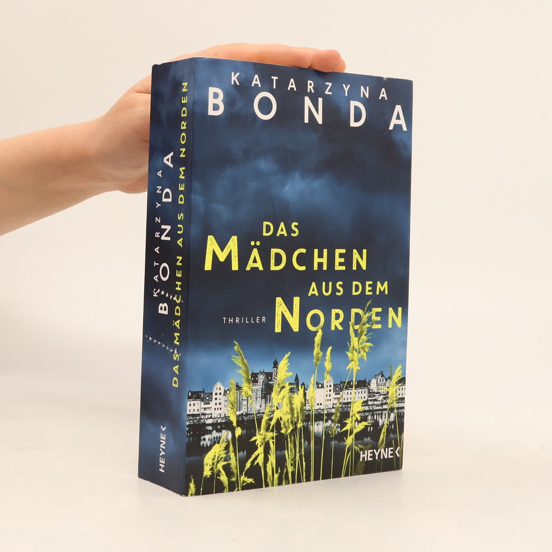Katarzyna Bonda Das Mädchen aus dem Norden