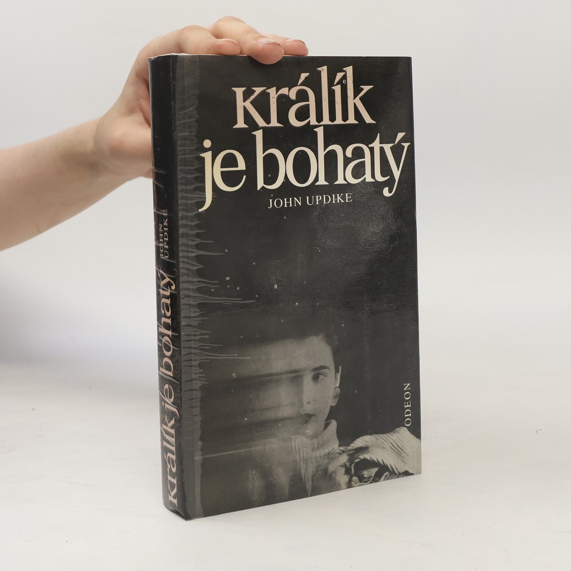 John Updike Králík je bohatý