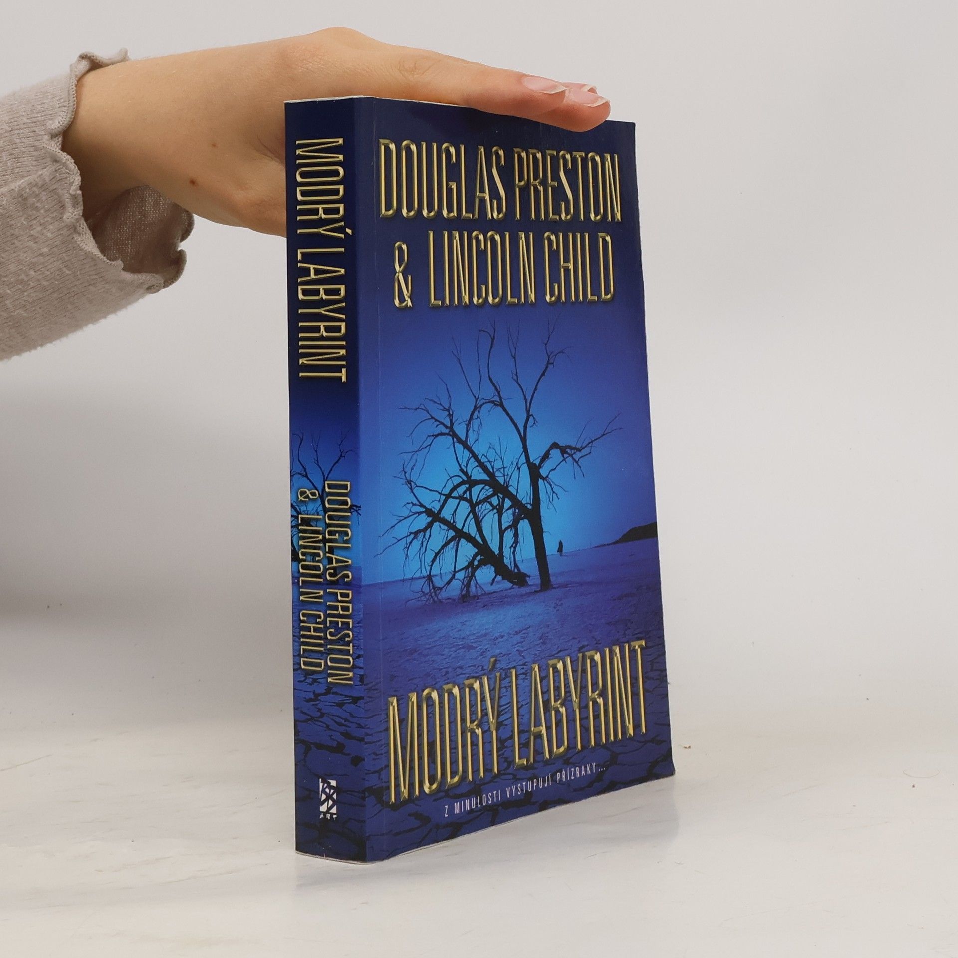 Douglas Preston Modrý labyrint