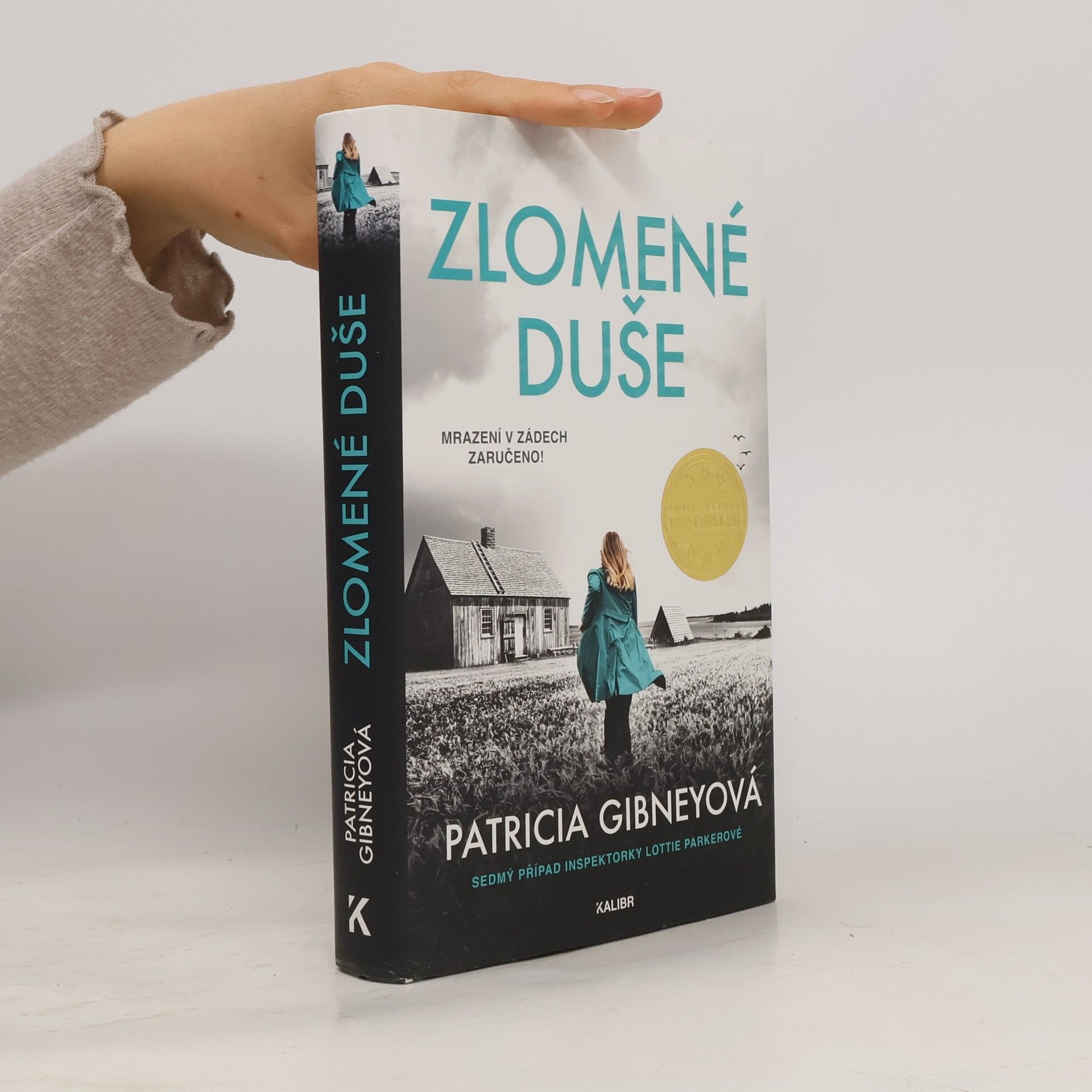 Patricia Gibney Zlomené Duše