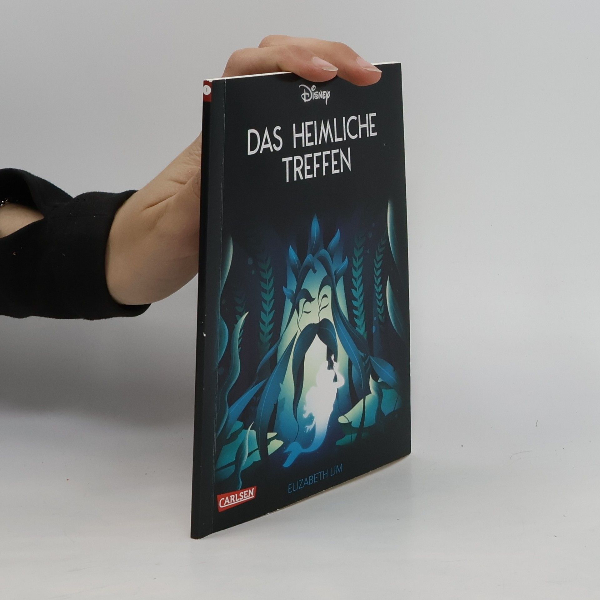 Elizabeth Lim Das heimliche Treffen