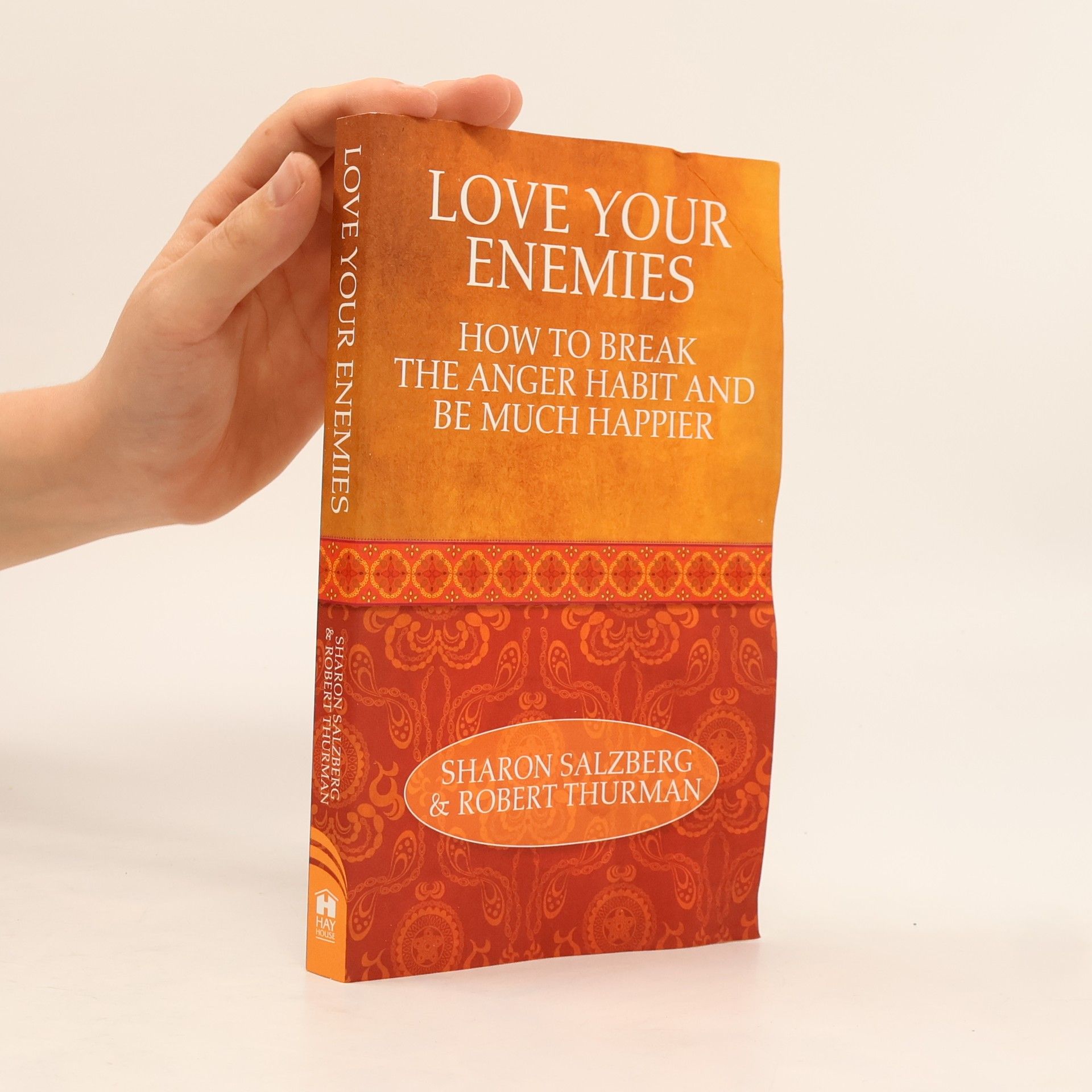Sharon Salzberg Love Your Enemies