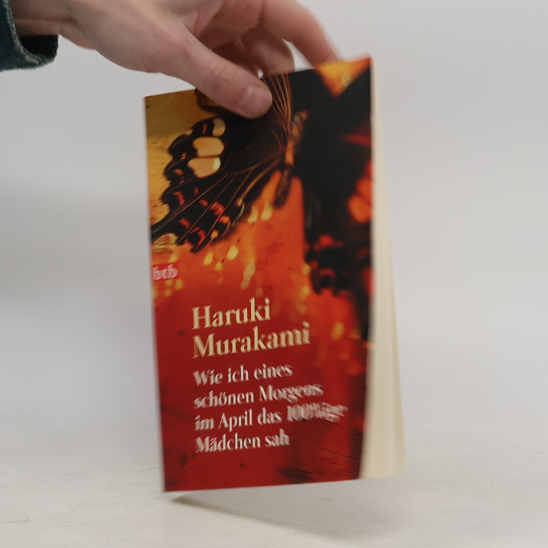 Haruki Murakami Wie ich eines schönen Morgens im April das 100%ige Mädchen sah