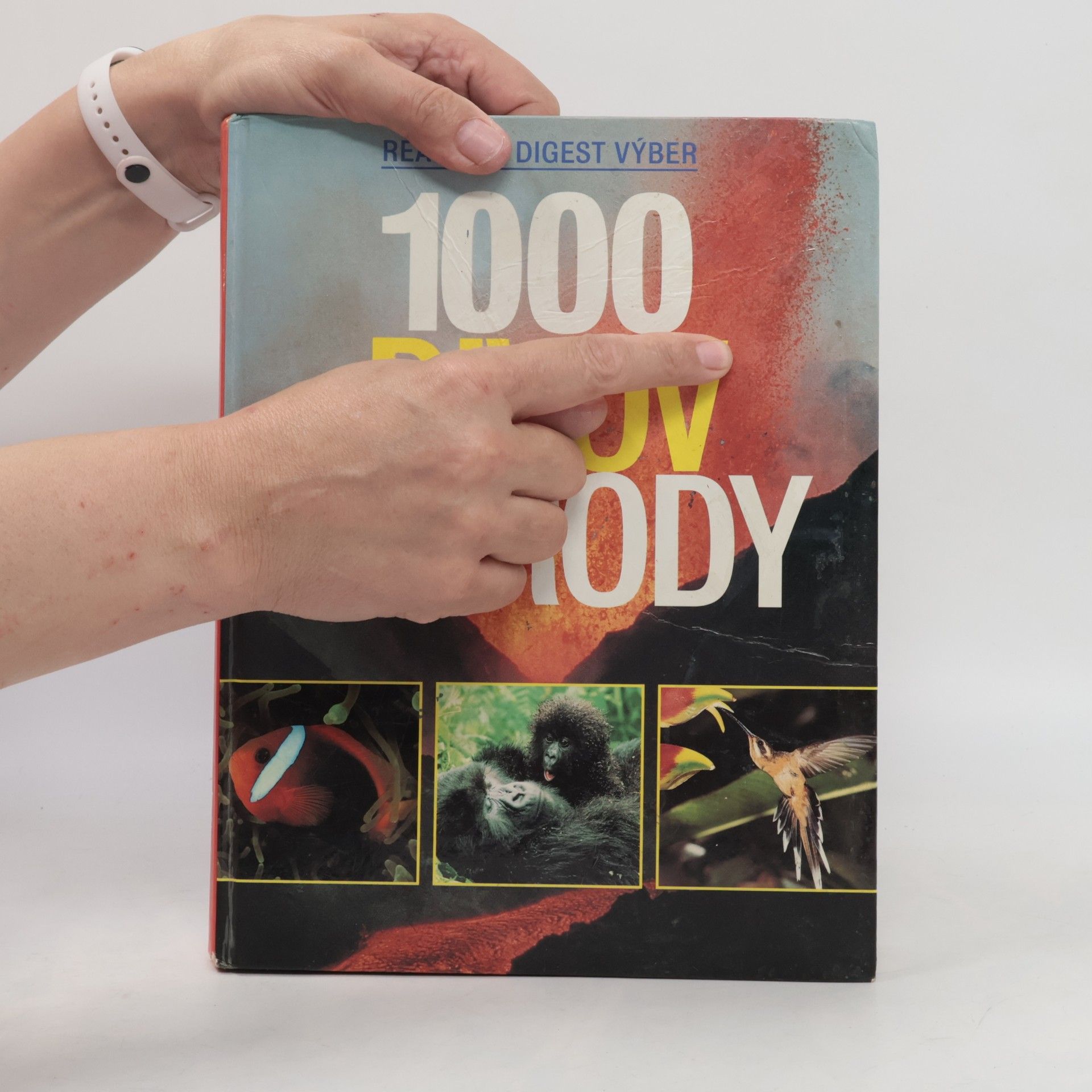 Autorenkollektiv 1000 divov prírody