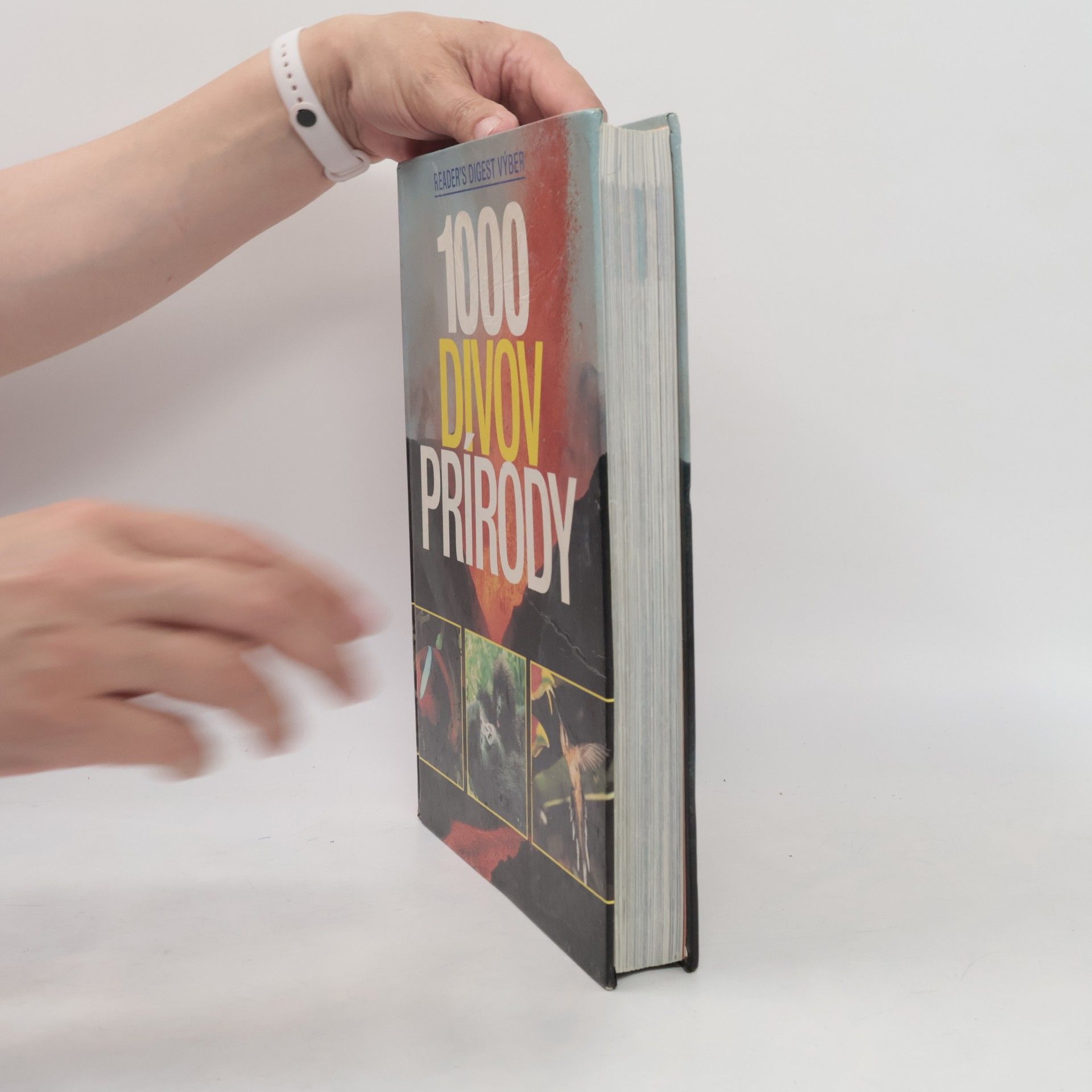 Autorenkollektiv 1000 divov prírody