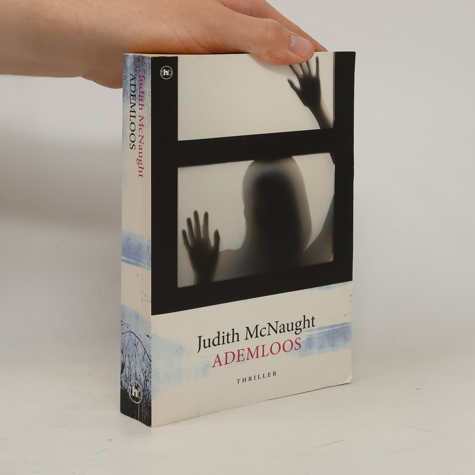 Judith McNaught Ademloos