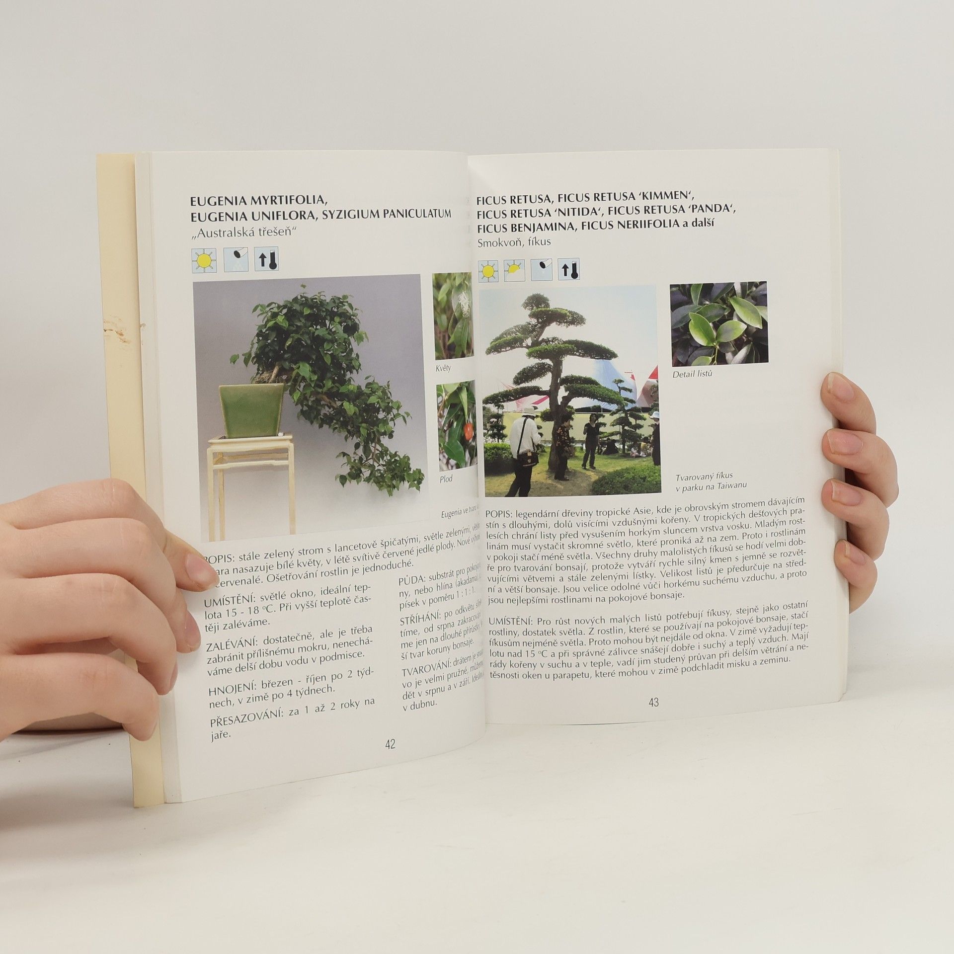 Jaroslav Pišl Bonsai nejen v paneláku