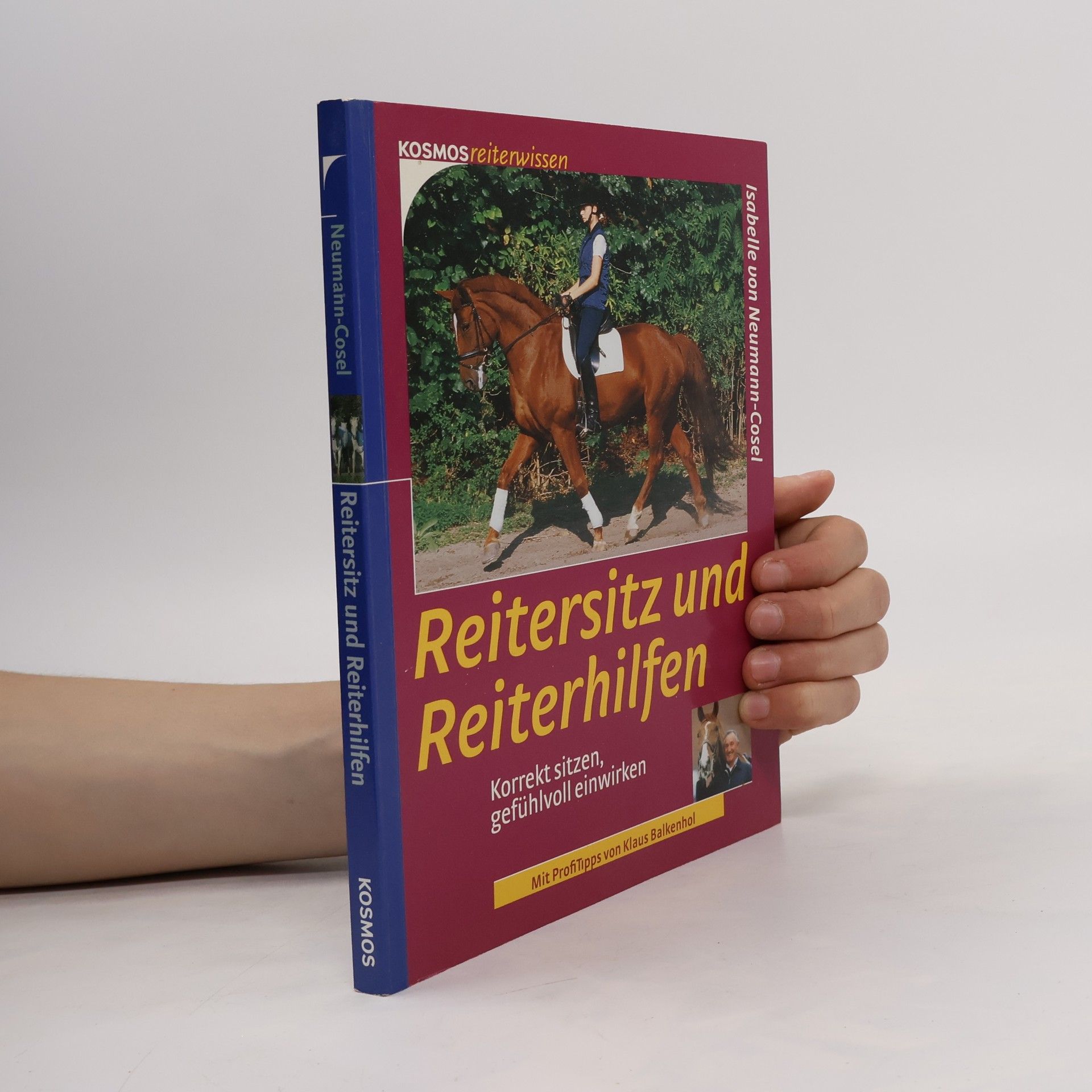 Isabelle Neumann-Cosel Reitersitz und Reiterhilfen