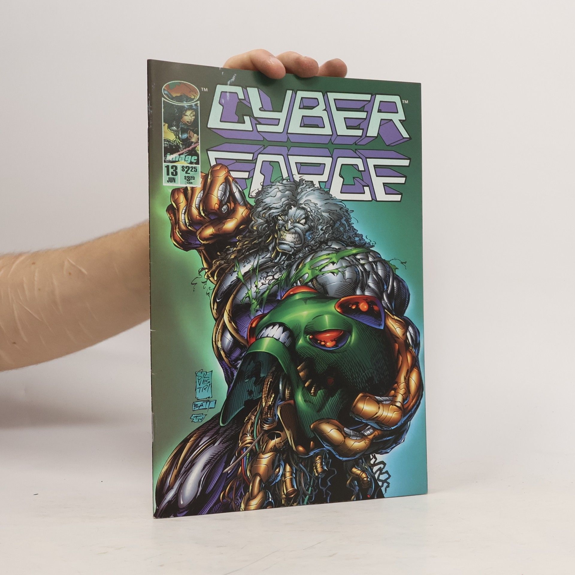 Kolektív autorov  Cyberforce 13