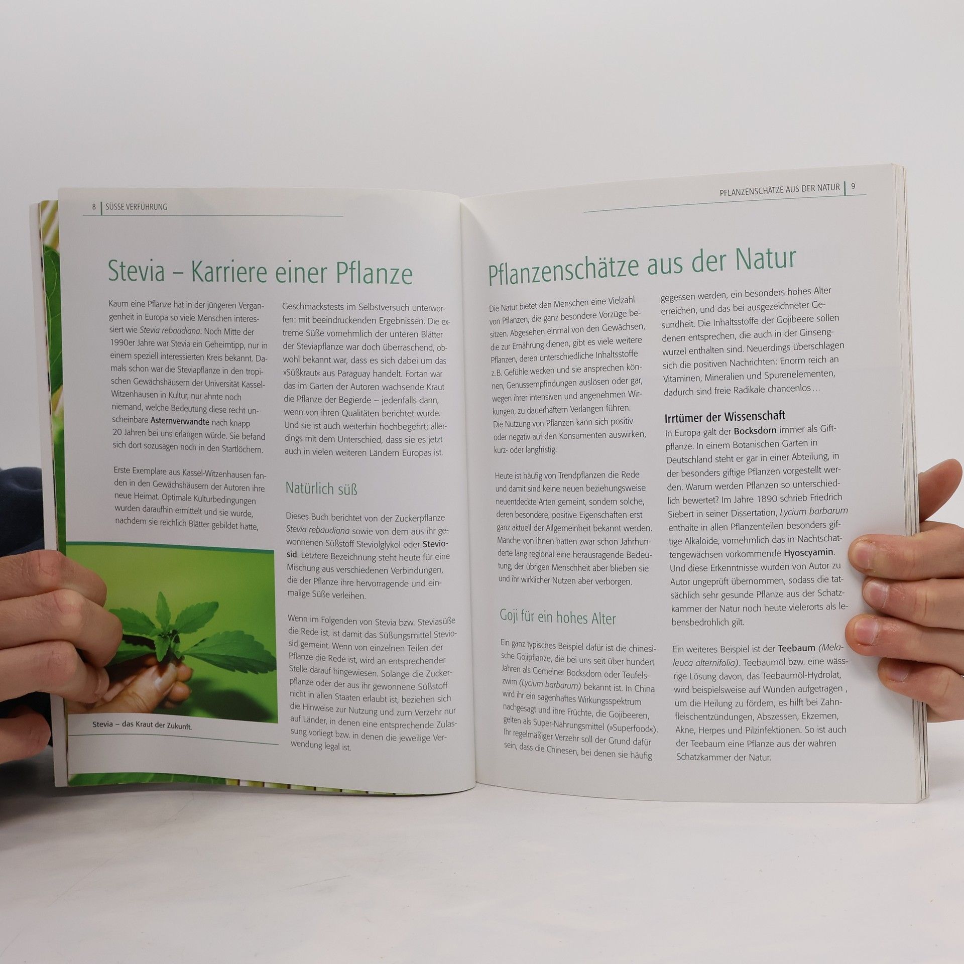 Peter Klock Stevia - gesunde Süße selbst gemacht