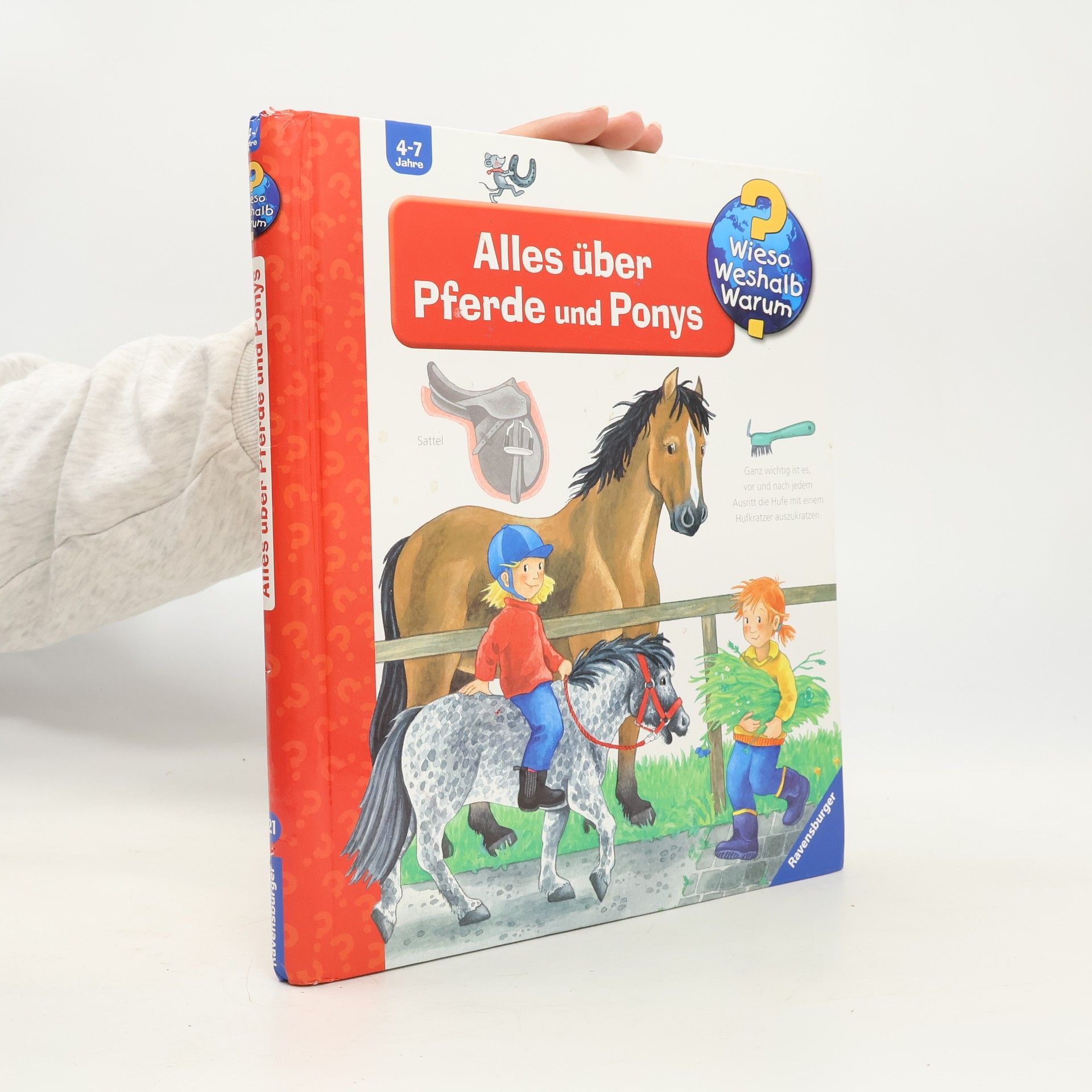Andrea Erne Alles über Pferde und Ponys