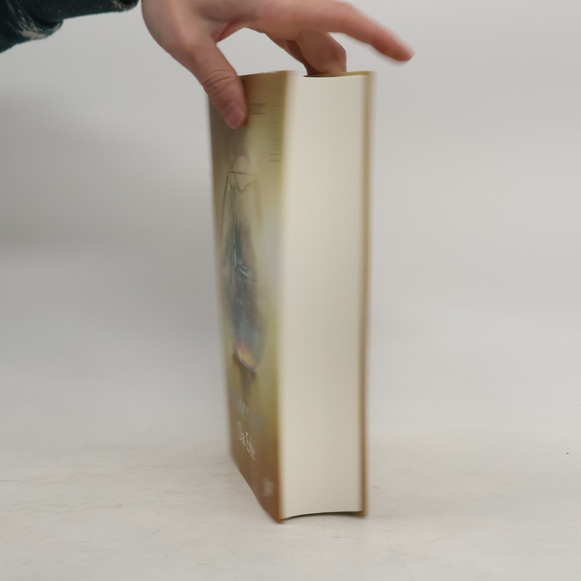 Gena Showalter Immerwelt - das Erbe