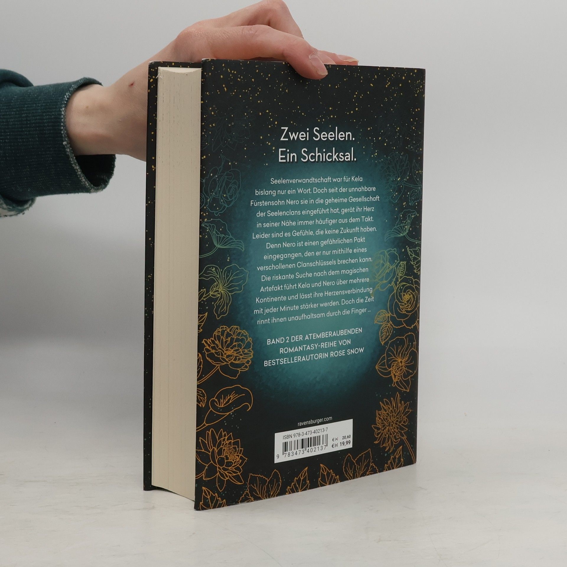 Rosie Snow 2 Seelen. Das zweite Buch der Unsterblichkeit / Bücher der Unsterblichkeit Bd.2
