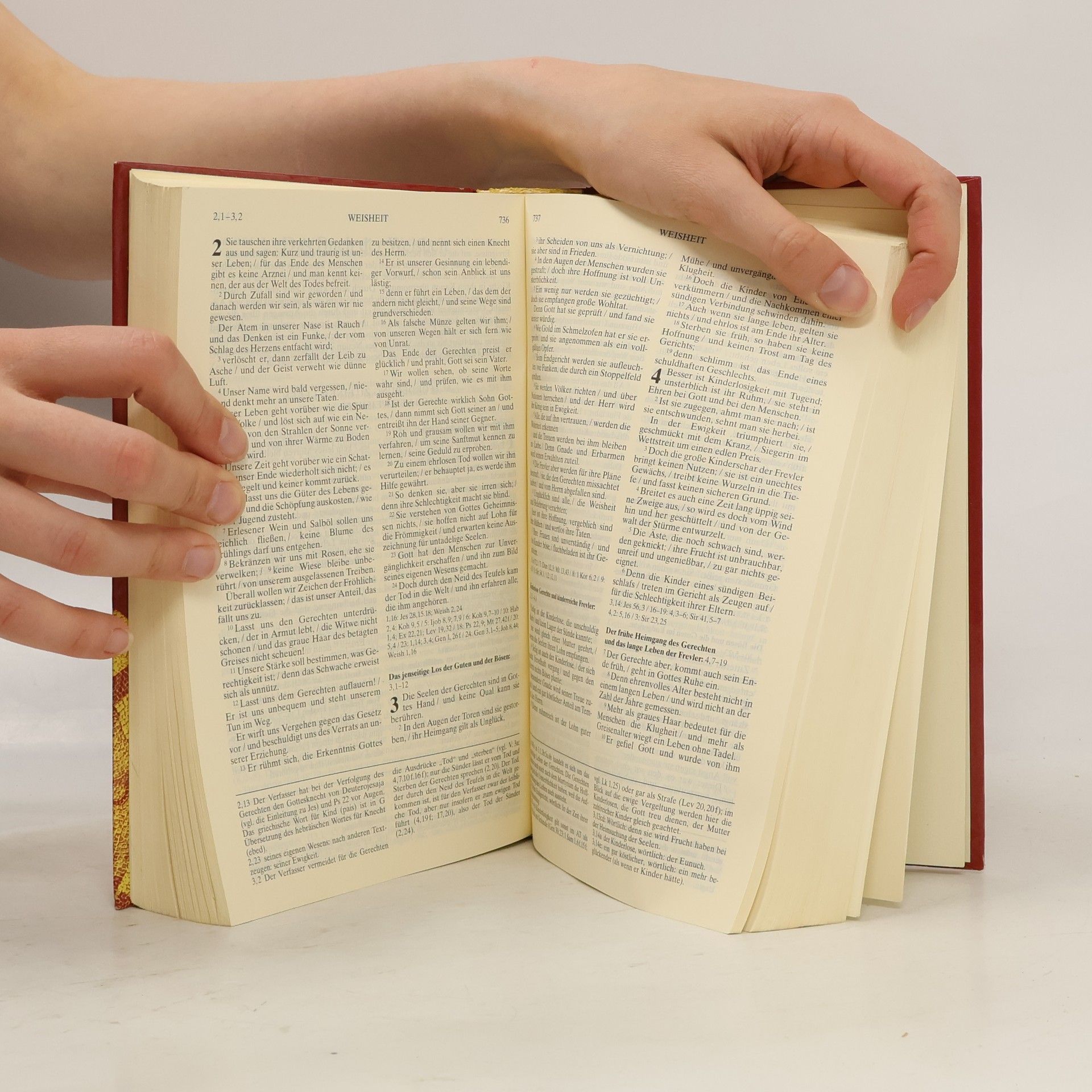 Collectif d'auteurs Die Bibel