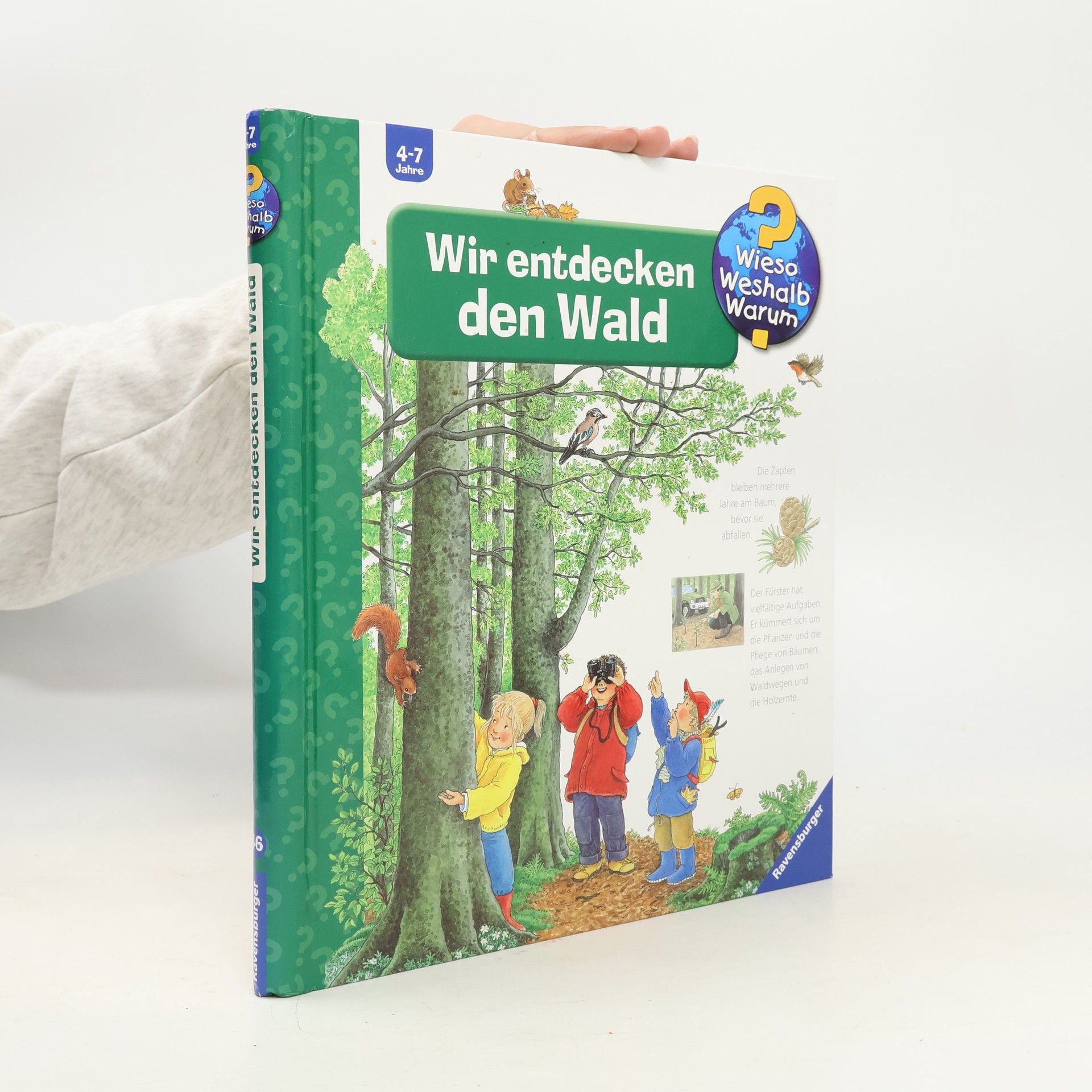 Angela Weinhold Wir entdecken den Wald