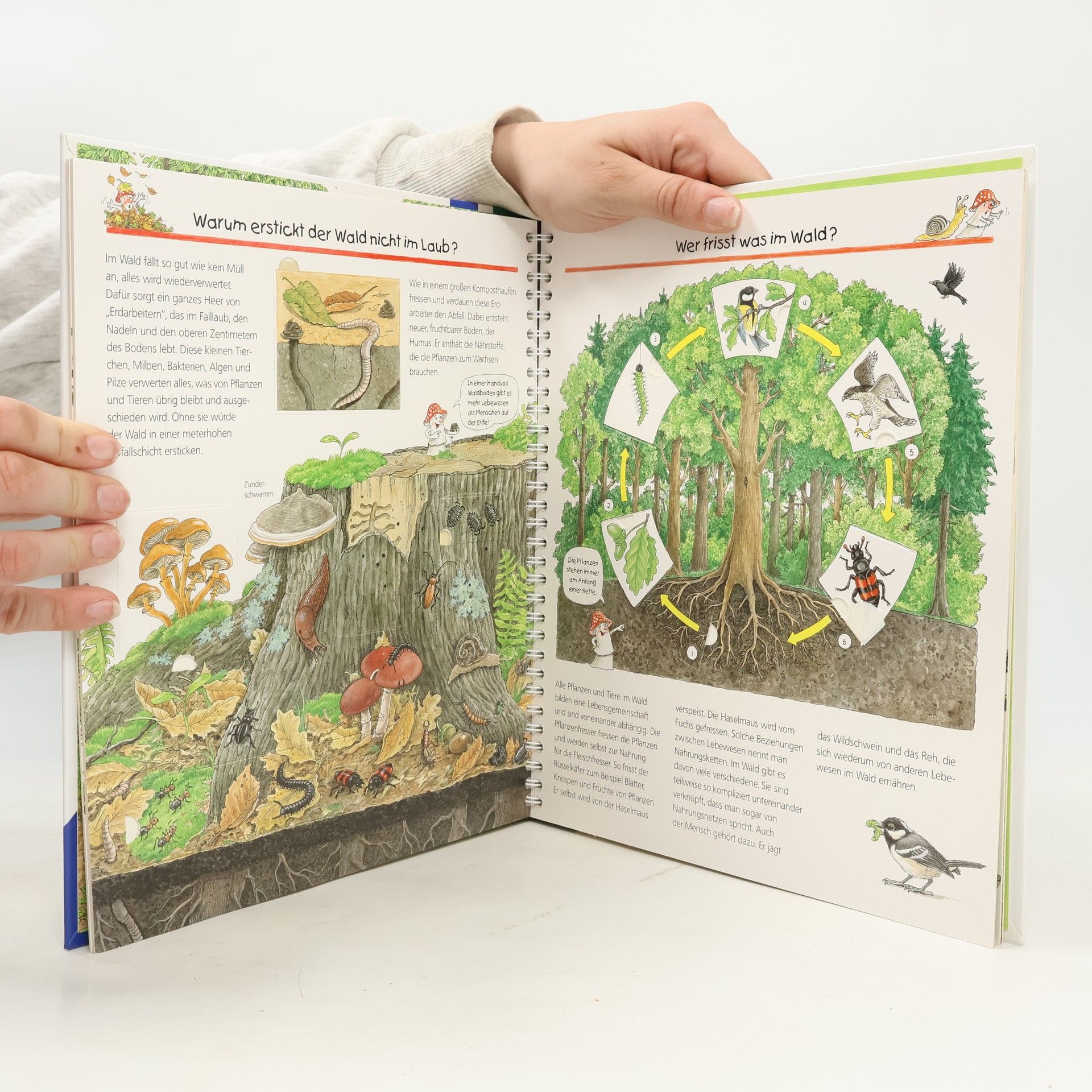 Angela Weinhold Wir entdecken den Wald
