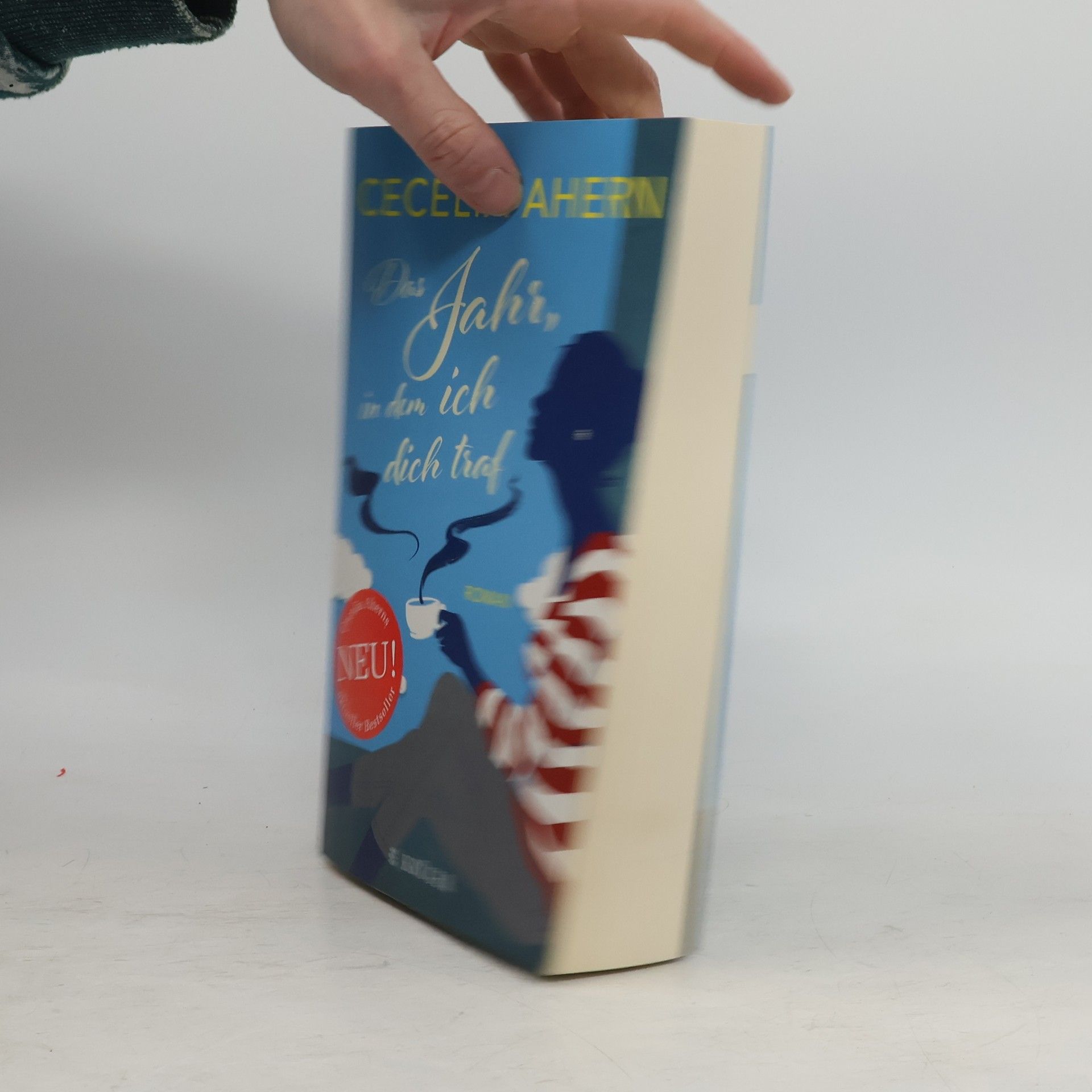 Cecelia Ahern Das Jahr, in dem ich dich traf