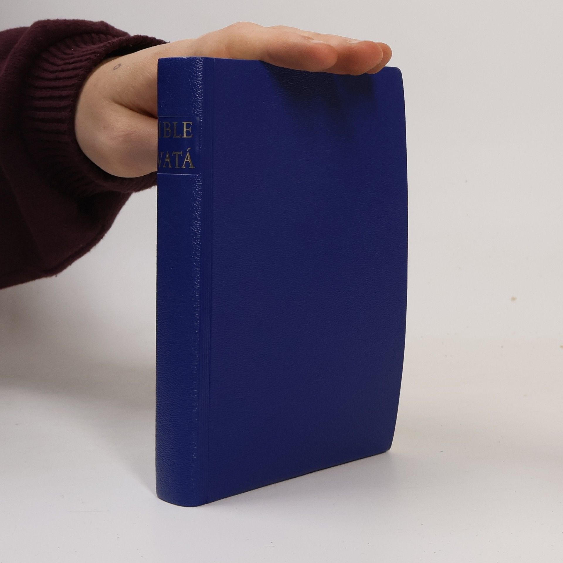 Autorenkollektiv Biblí Svatá aneb Všecka Svatá Písma Starého i Nového zákona