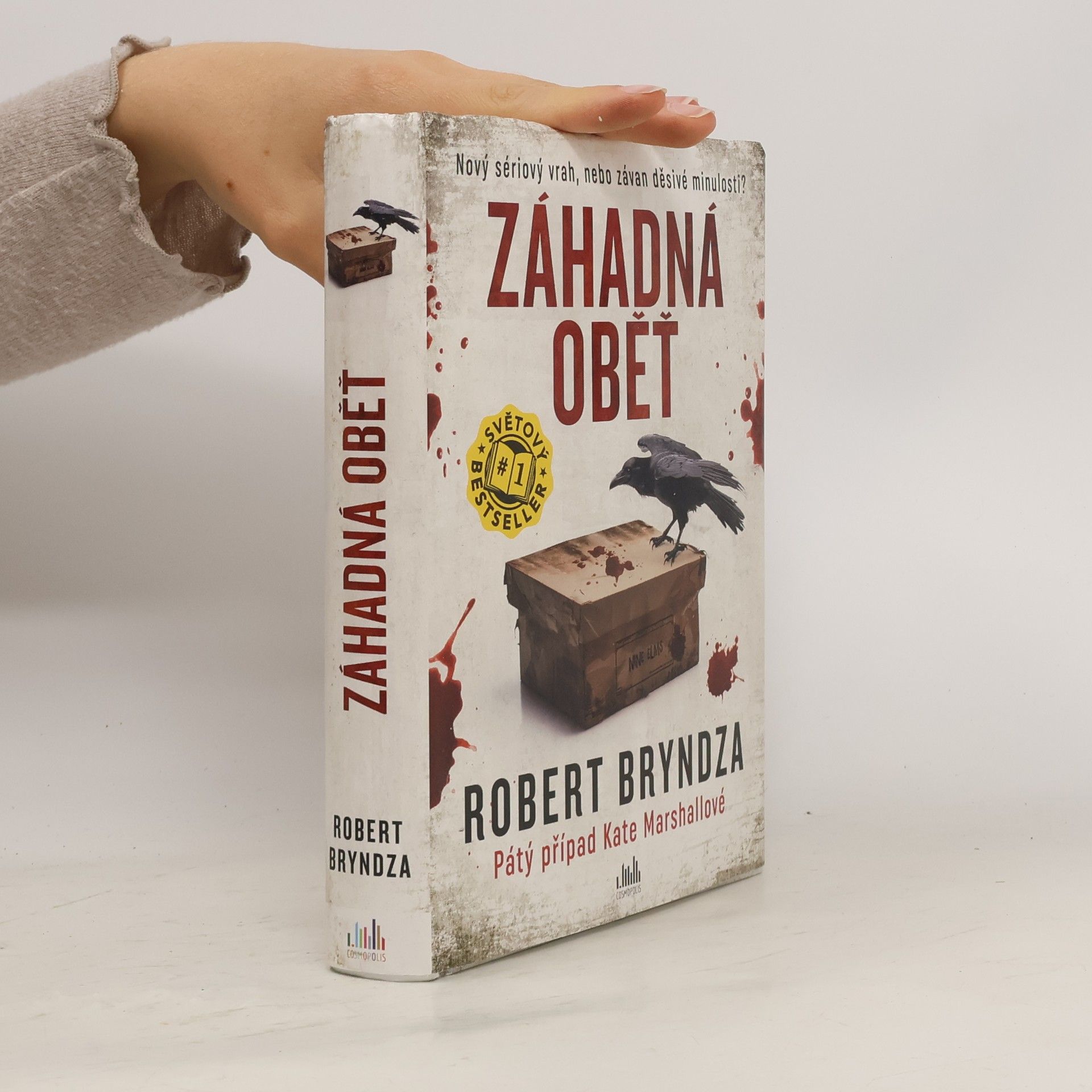 Robert Bryndza Záhadná oběť