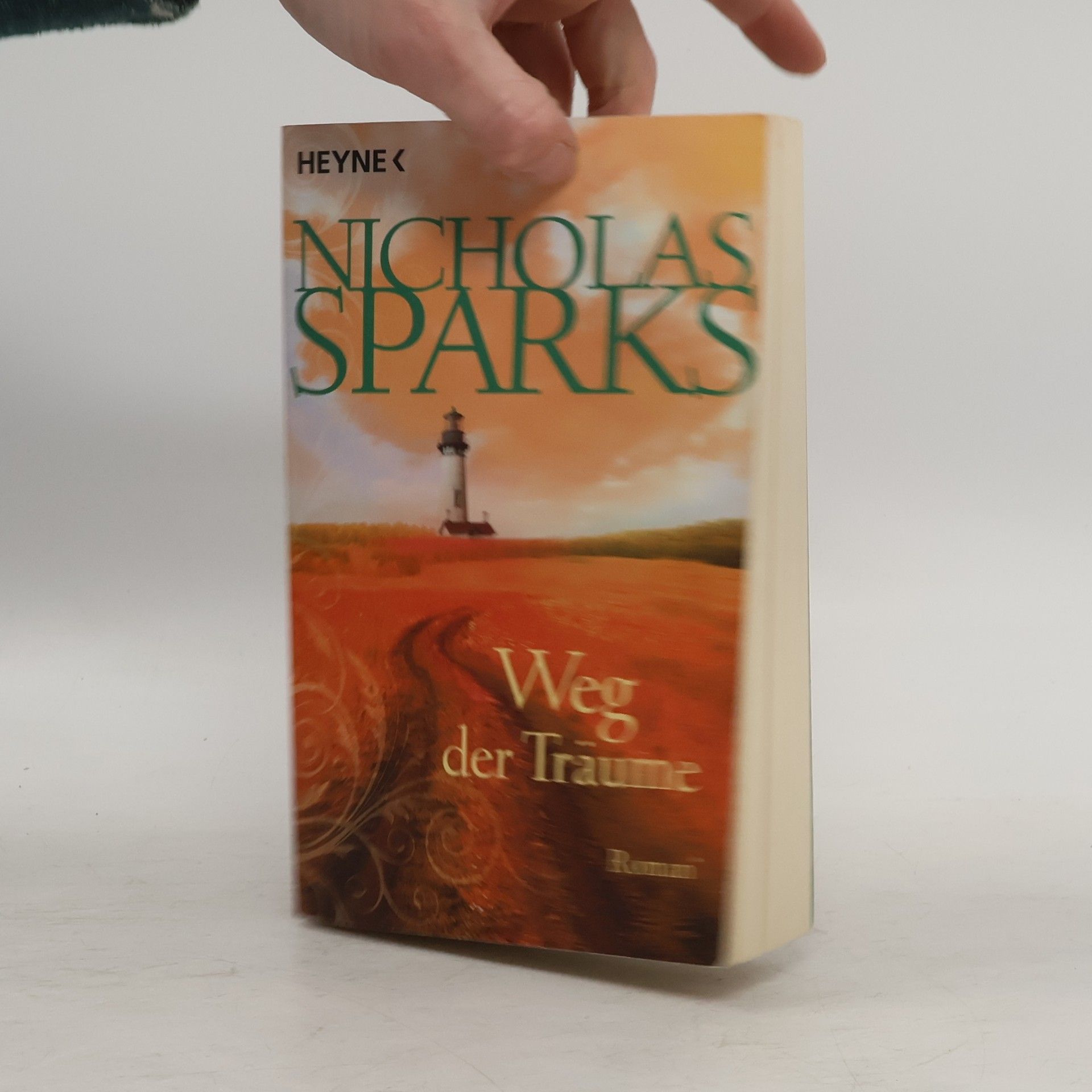 Nicholas Sparks Weg der Träume