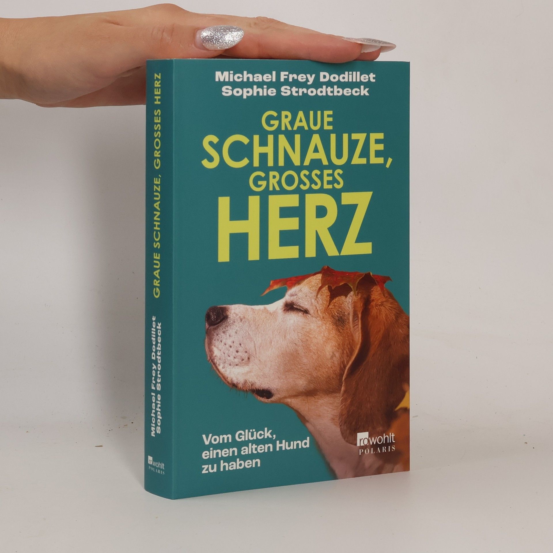 Michael Frey Dodillet Graue Schnauze, großes Herz