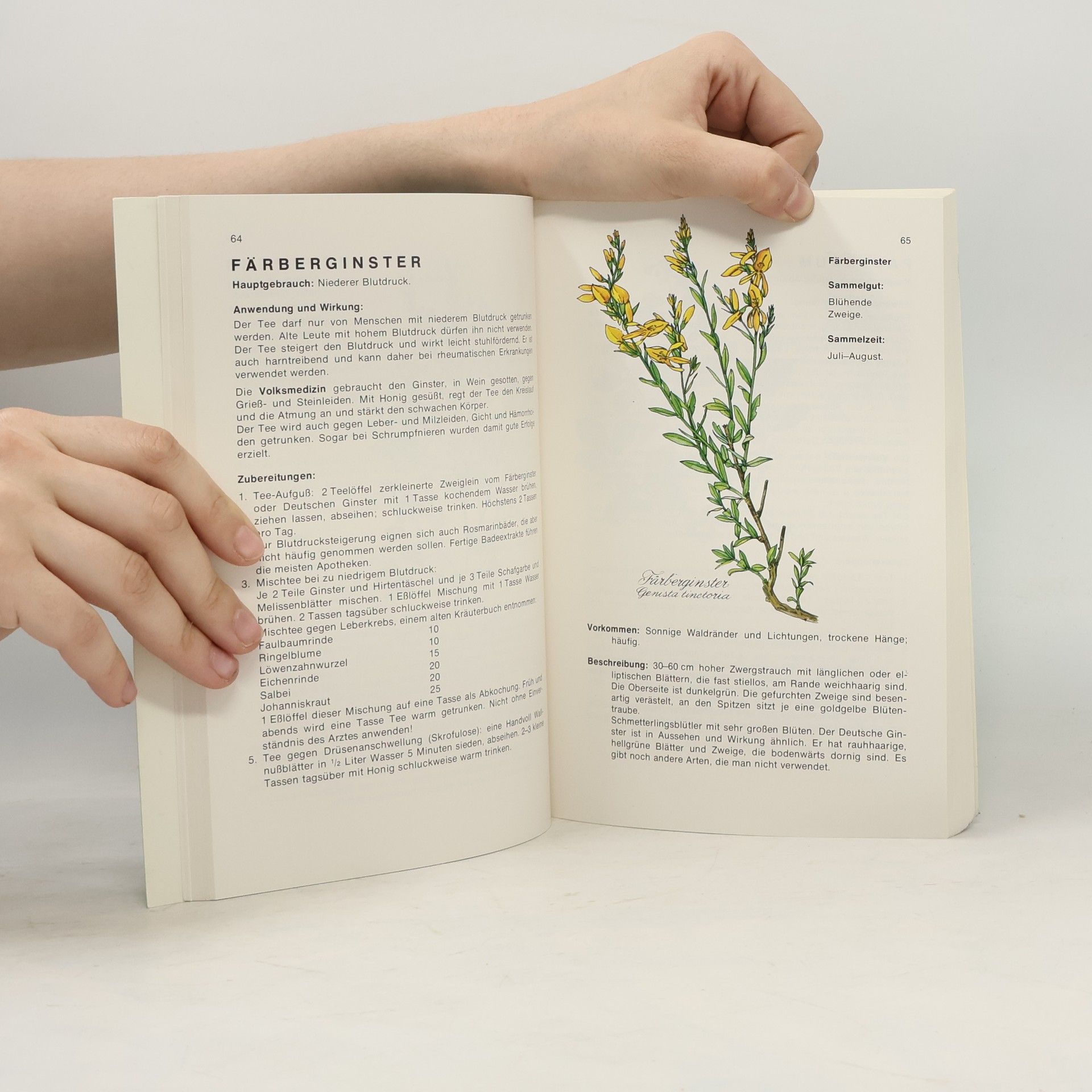 Autorenkollektiv Heilkräuter. Geschenke Gottes für Deine Gesundheit