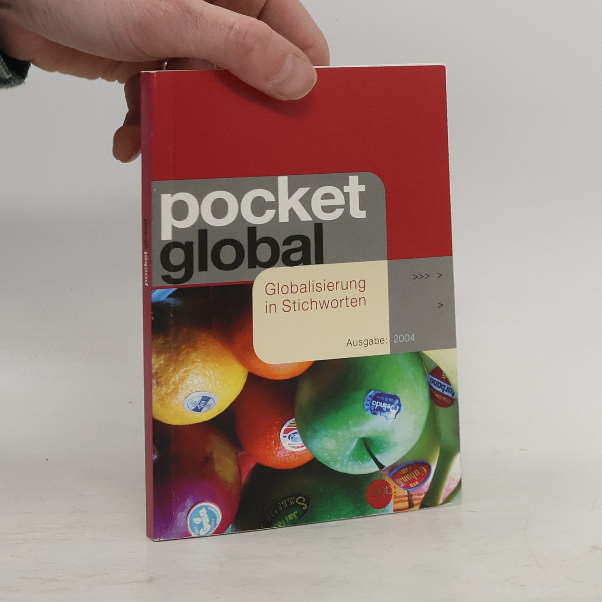 Pocket Global. Globalisierung in Stichworten
