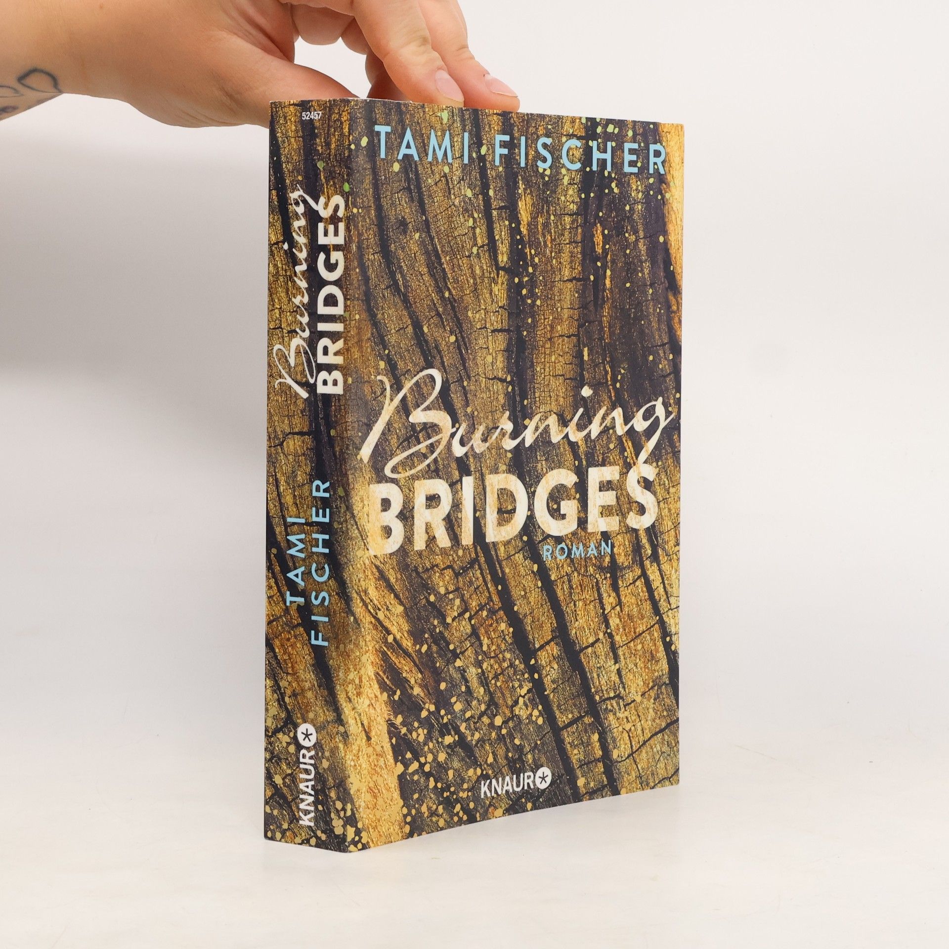 Tami Fischer Burning bridges