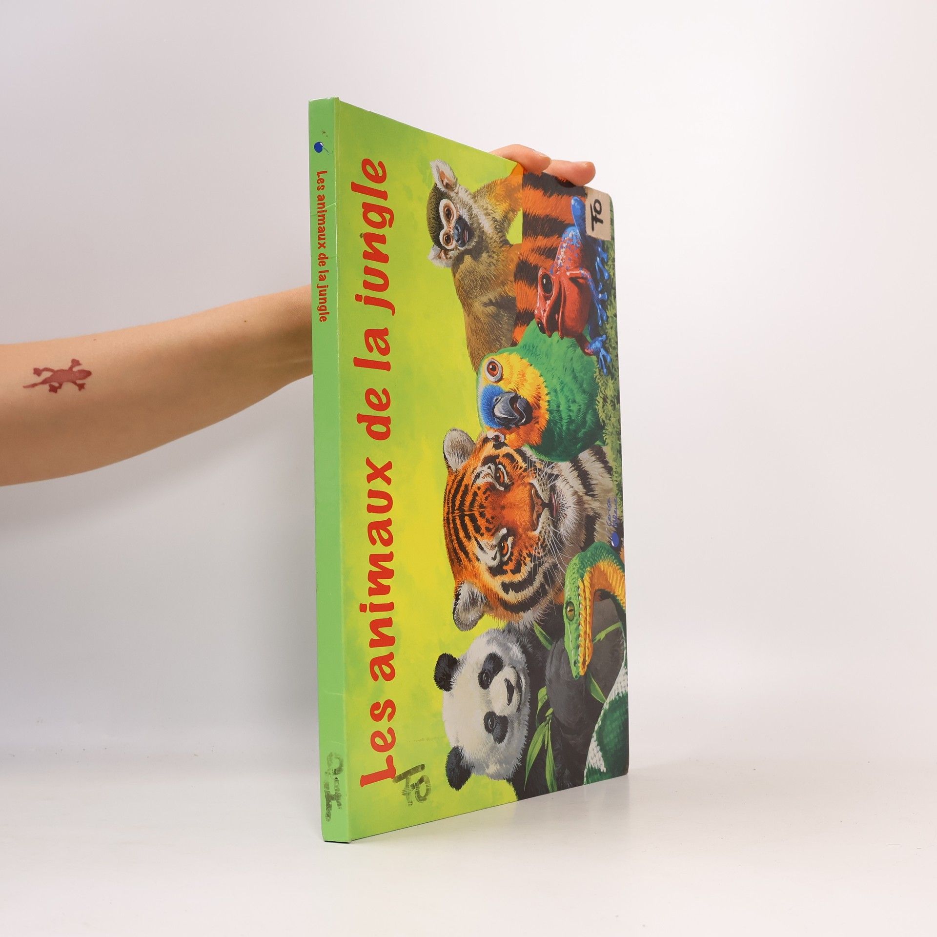 Les animaux de la jungle