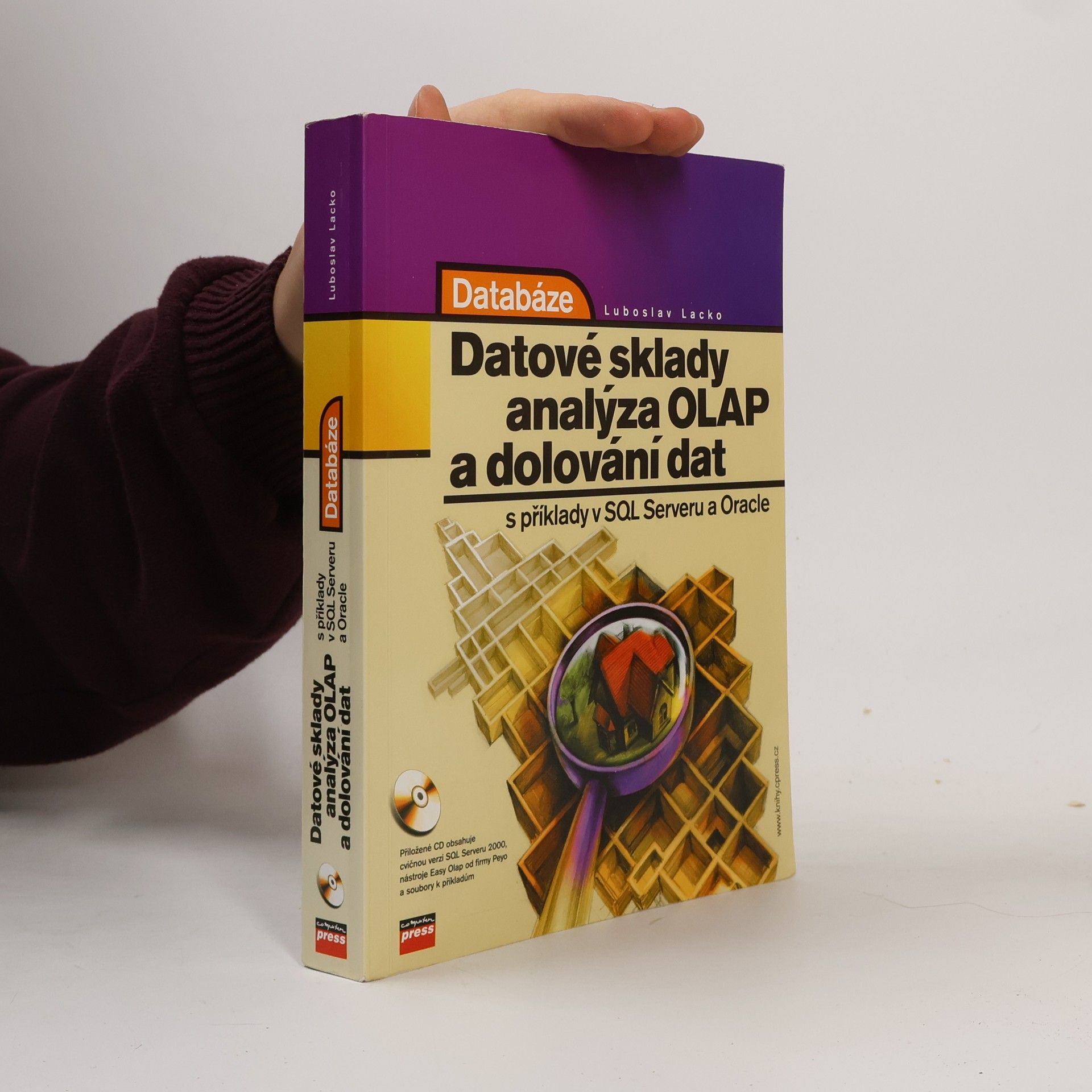 Databáze: datové sklady, OLAP a dolování dat s příklady v Microsoft SQL Serveru a Oracle