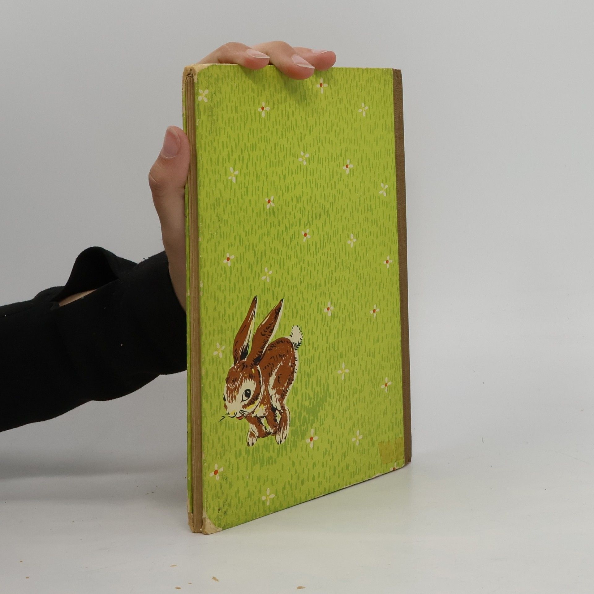 Ursula Dörge Der vertauschte Osterhase