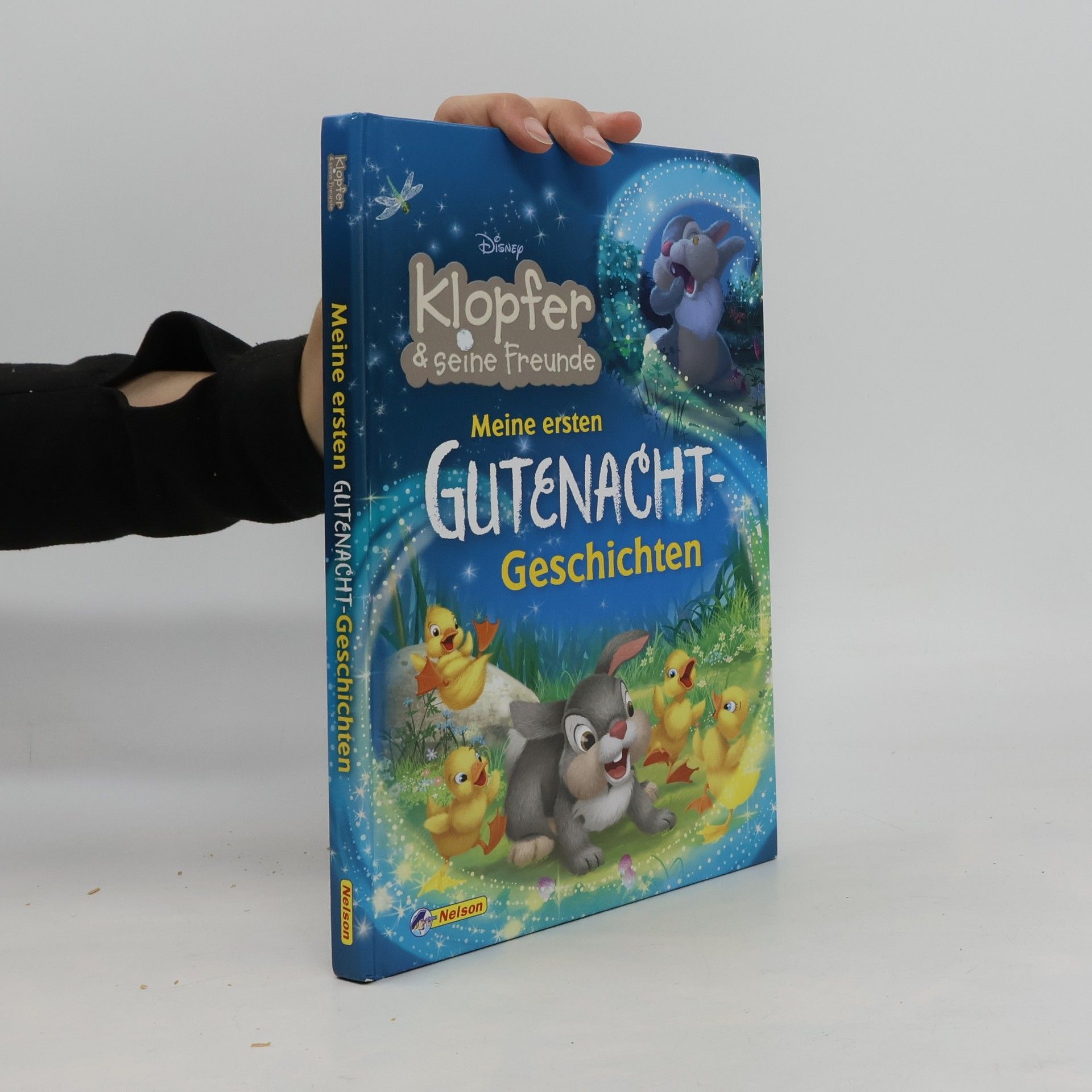 Autorenkollektiv Disney Klopfer: Meine ersten Gutenacht-Geschichten