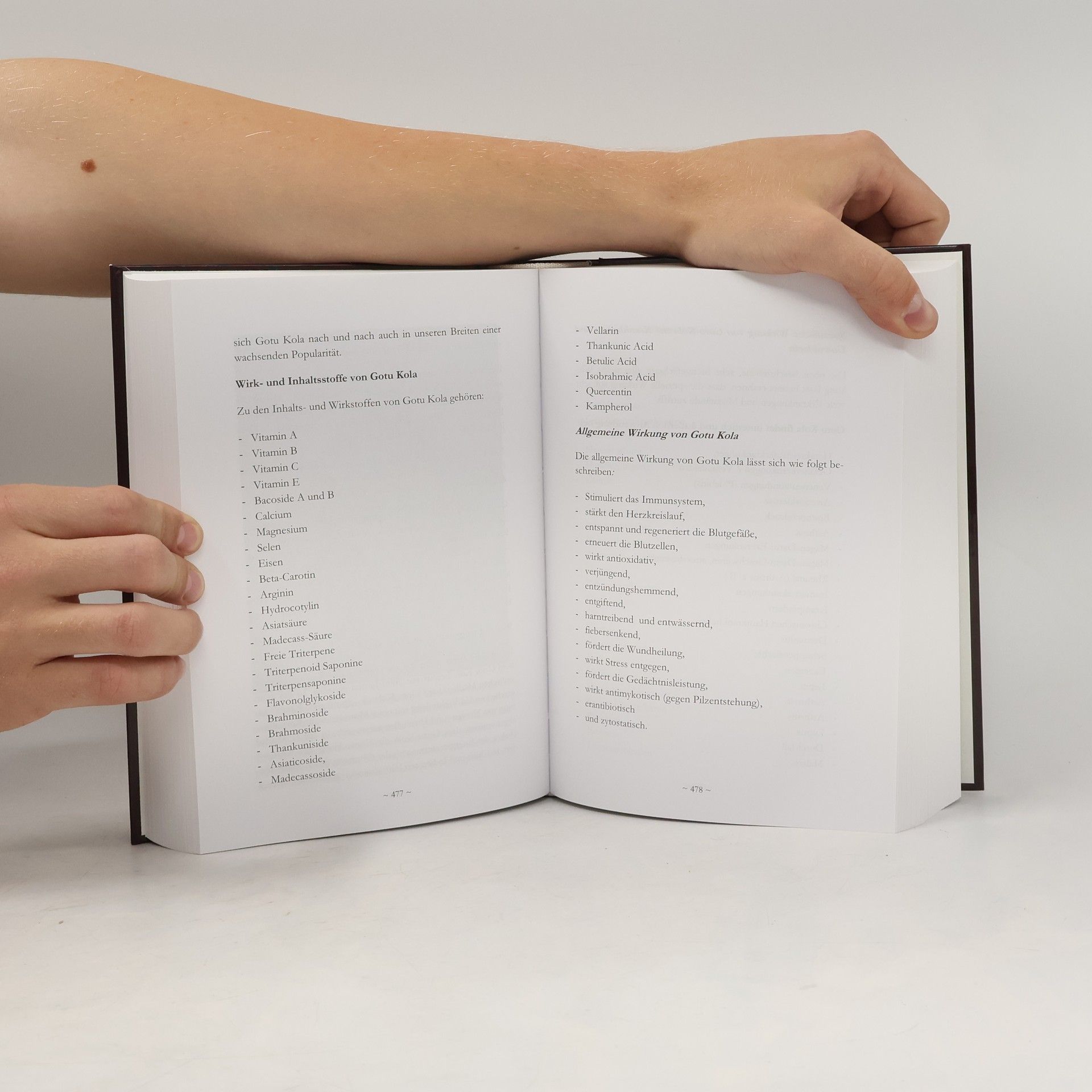 Auteurscollectief Codex Humanus. Das Buch der Menschlichkeit I